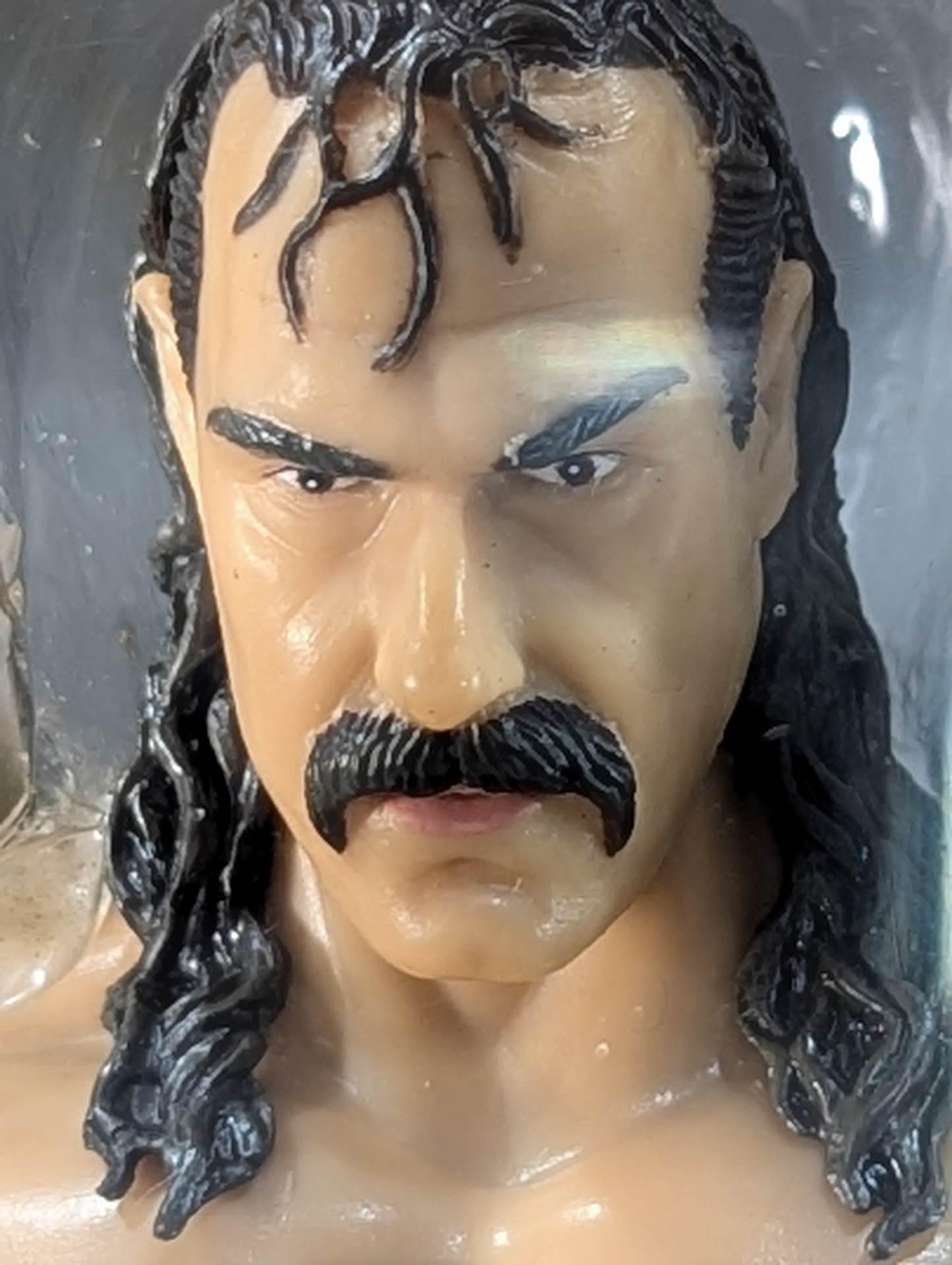 Jake Roberts