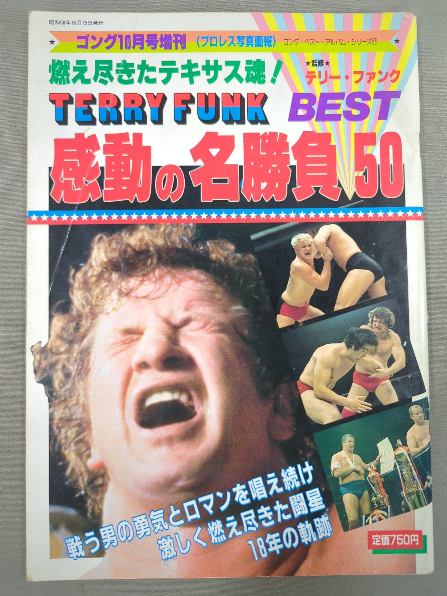 Gong Special Issue Terry Funk Impressive Masterpiece BEST50
