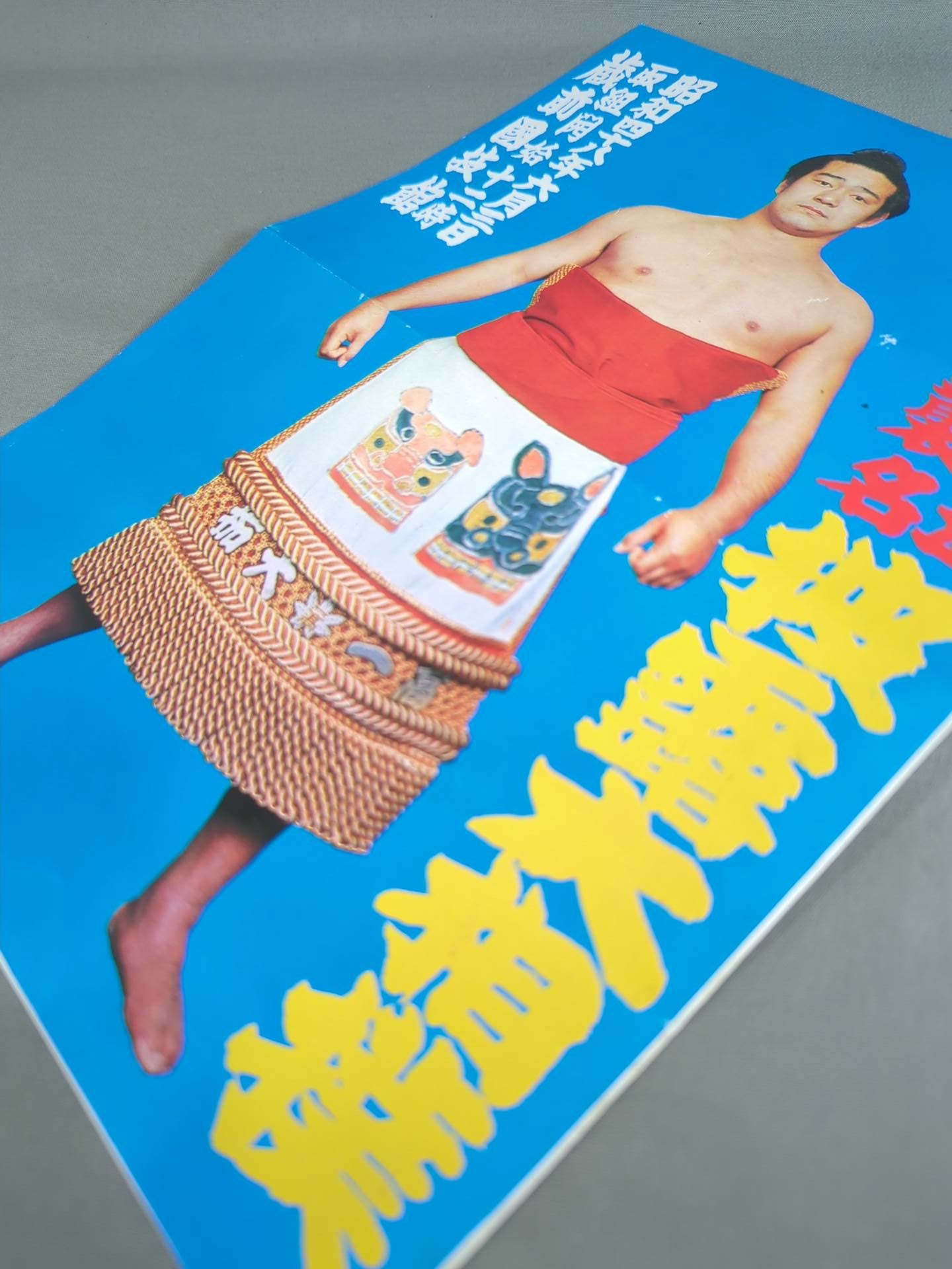 藤ノ川引退・立川襲名 披露大相撲 取組表