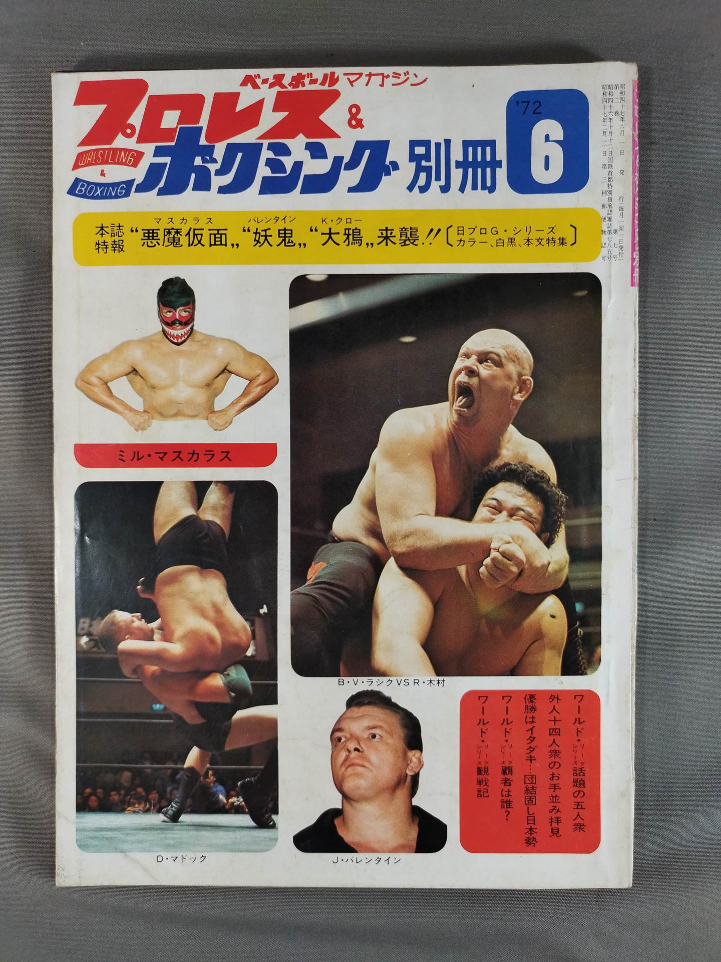 プロレス&ボクシング 1972年6月号別冊 – 闘道館