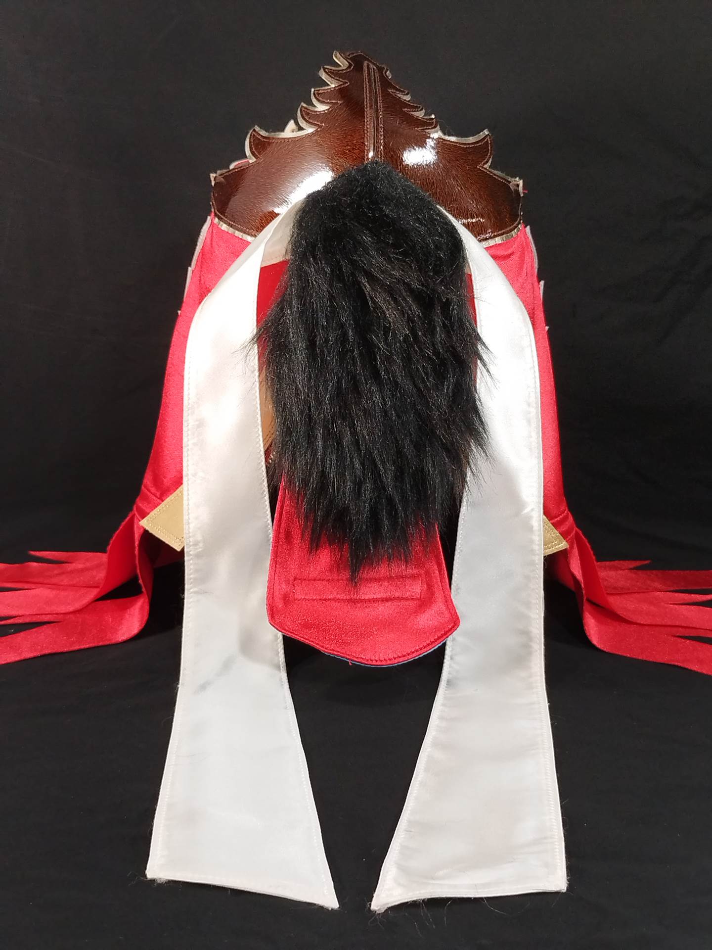 HAYABUSA