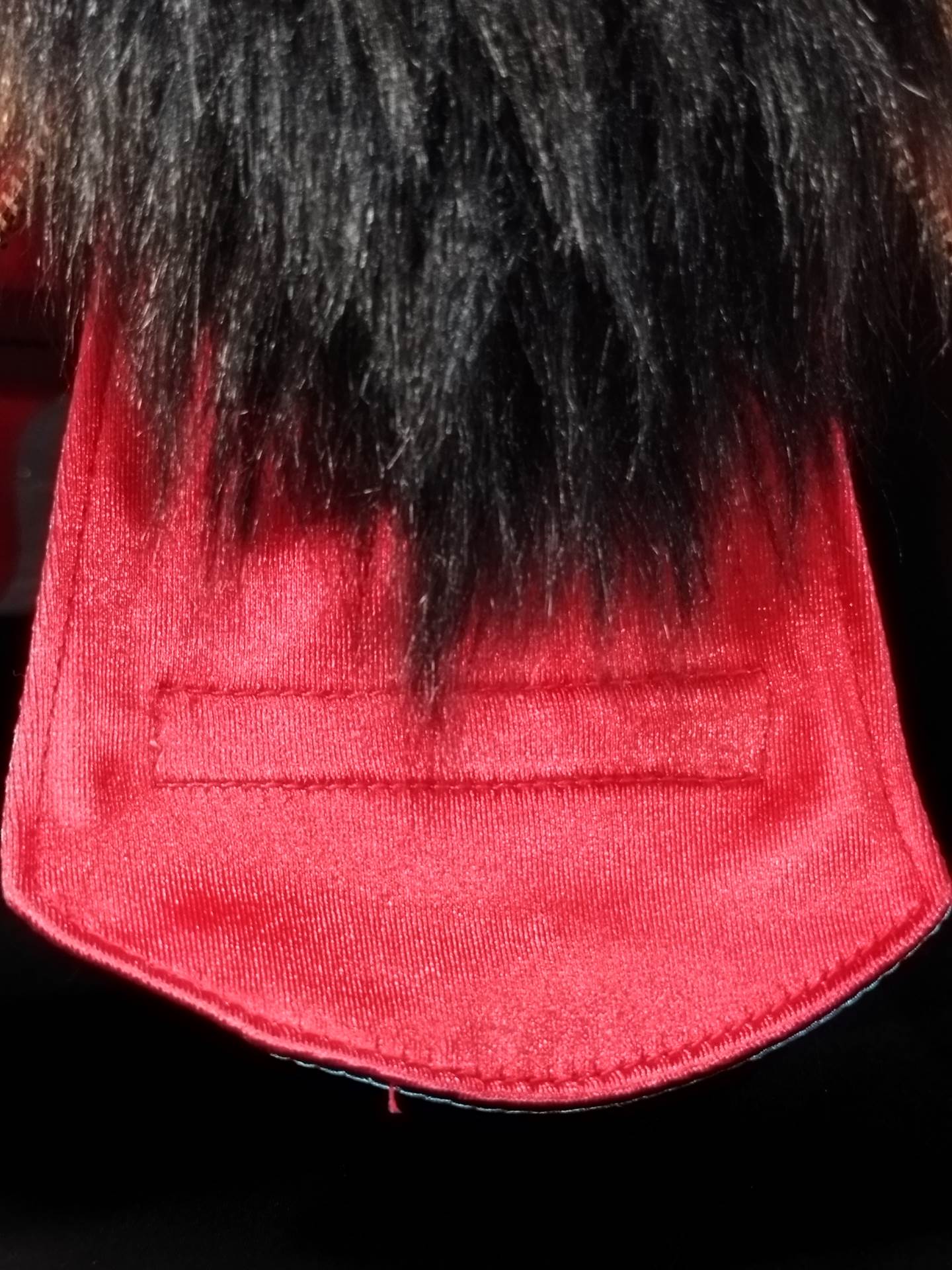 HAYABUSA