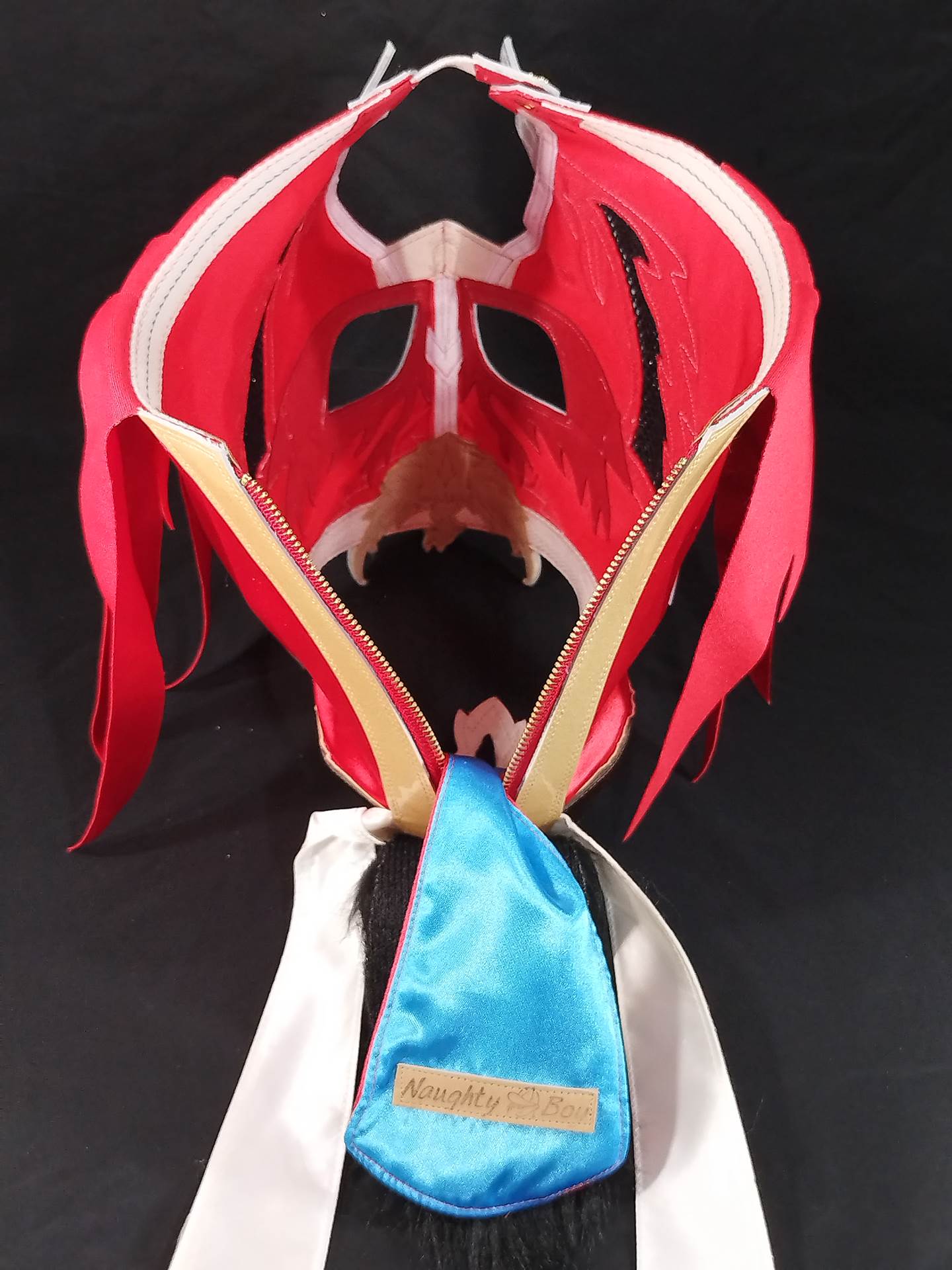 HAYABUSA