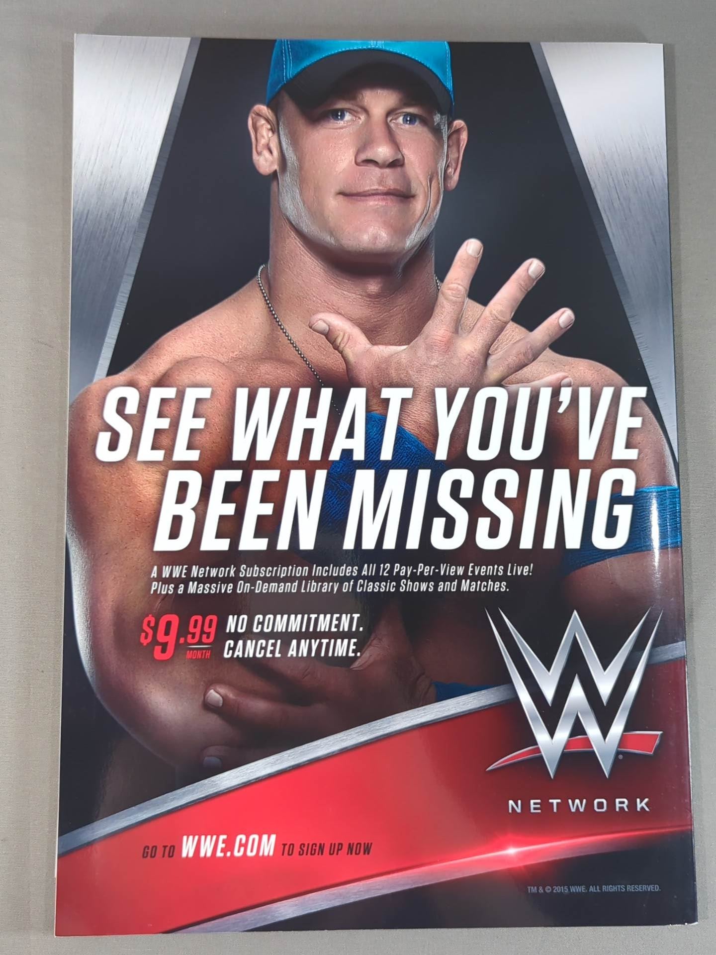 WWE OFFICIAL PROGRAM 2015②