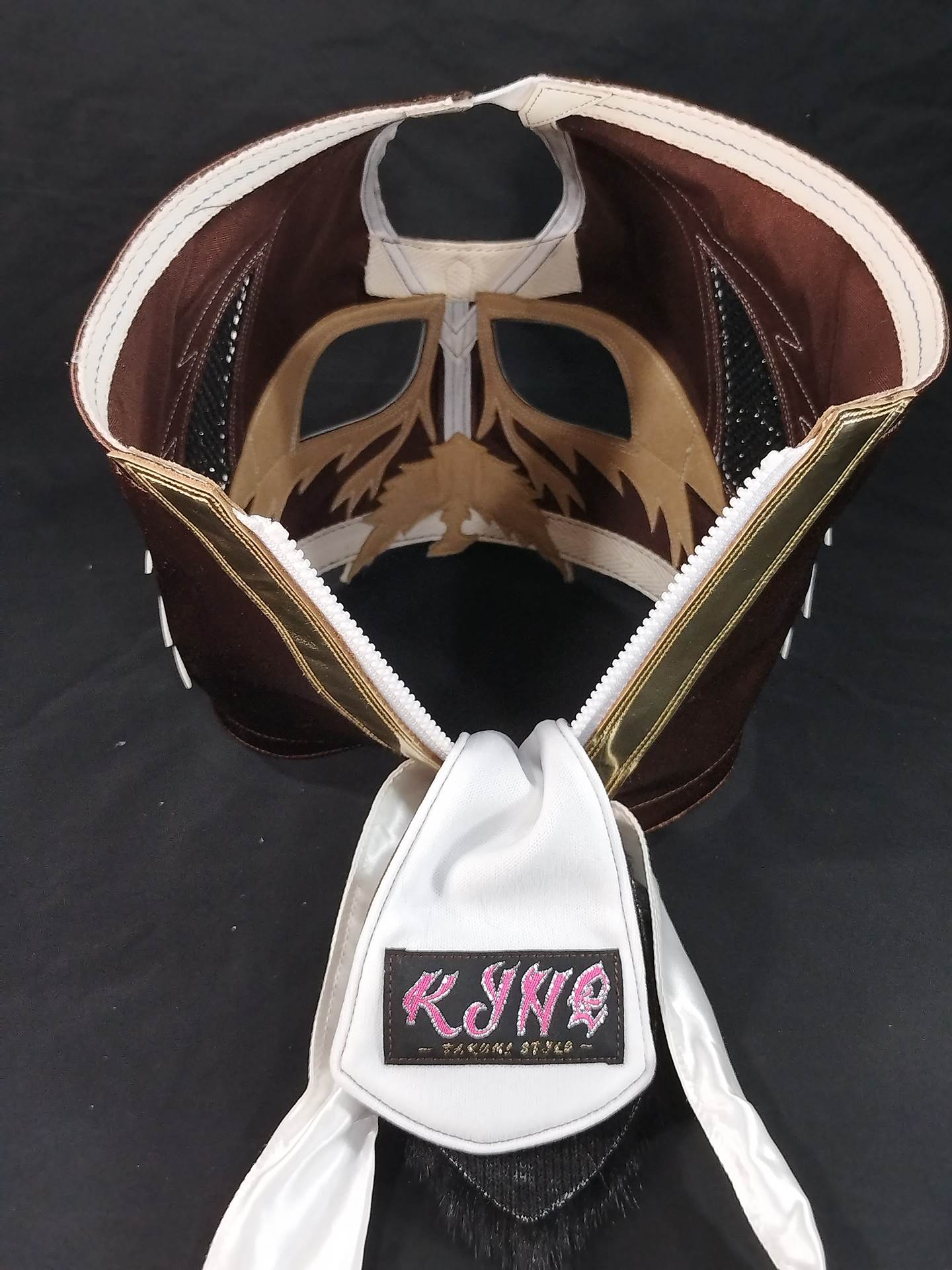 HAYABUSA