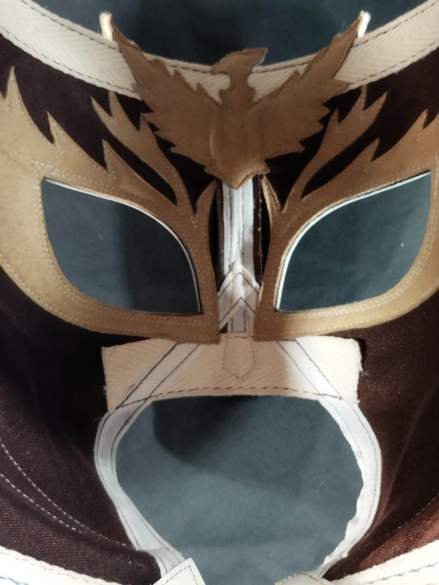 HAYABUSA