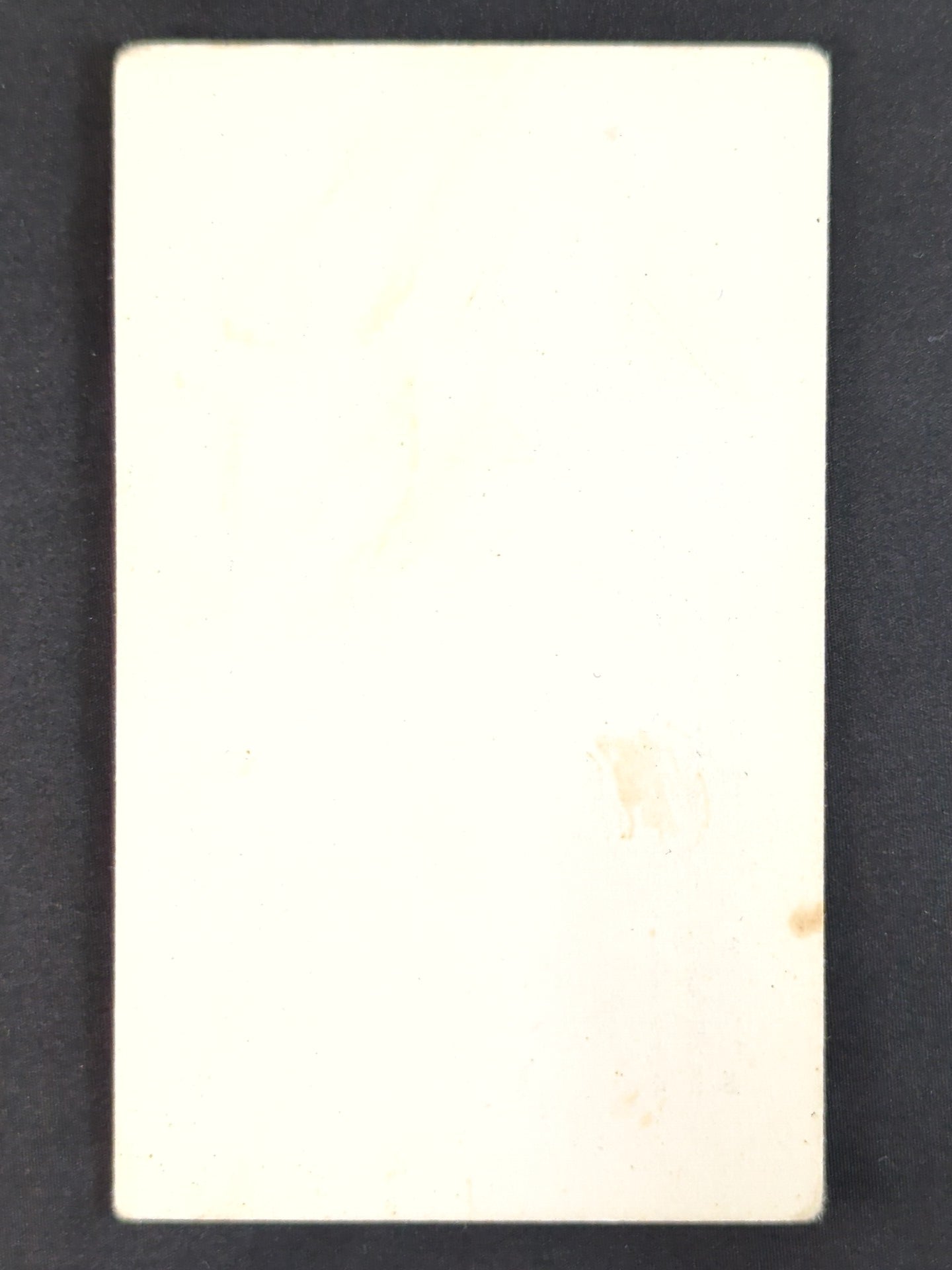 Shinya Hashimoto 【Chairman of Fighters 】 business card