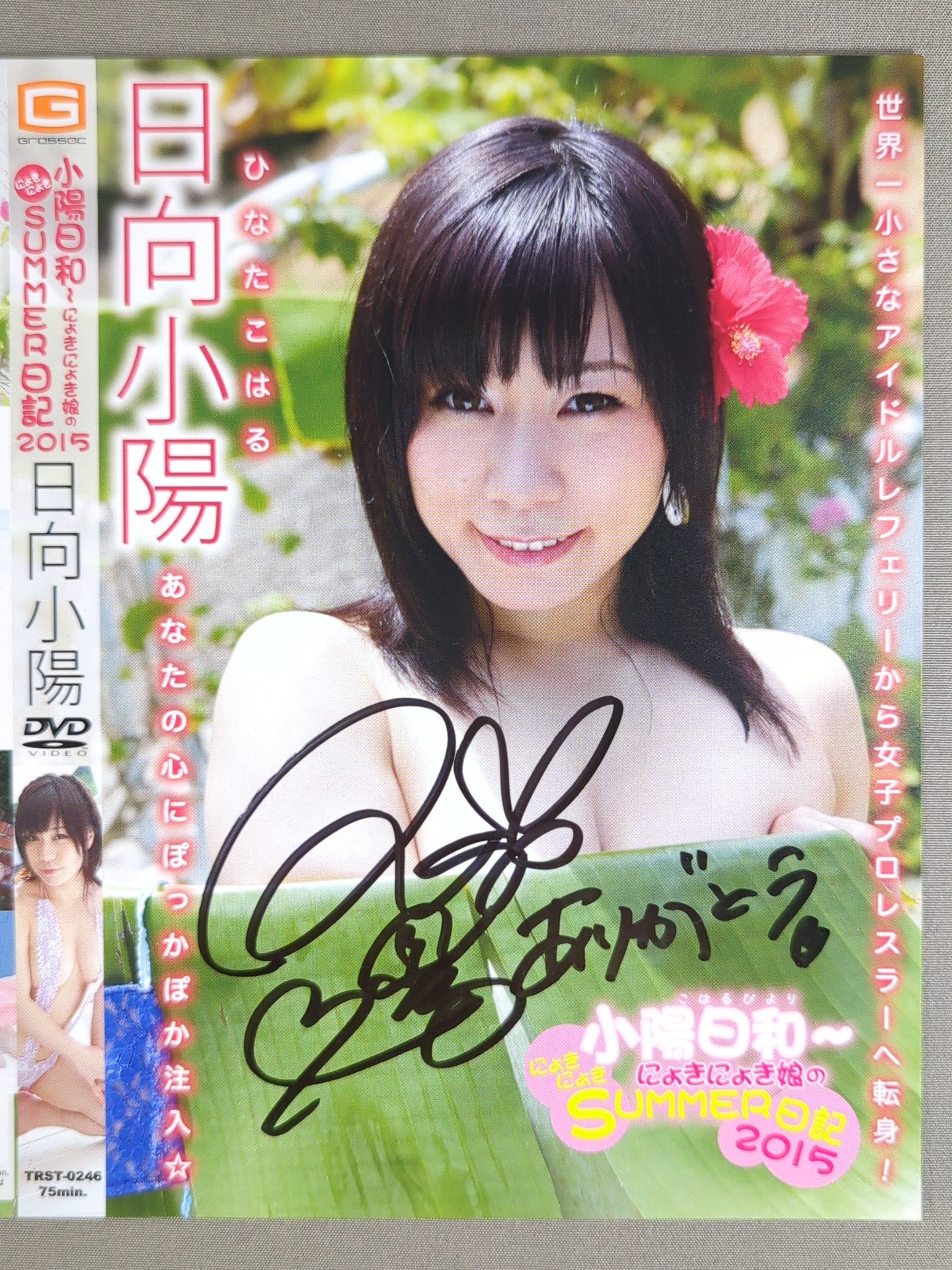 【hand signed autograph】【hand signed autograph】 Hyuga Koyo Koyo Hiwa ~ Nyoki Nyoki Daughter's SUMMER Diary 2015 DVD Jacket