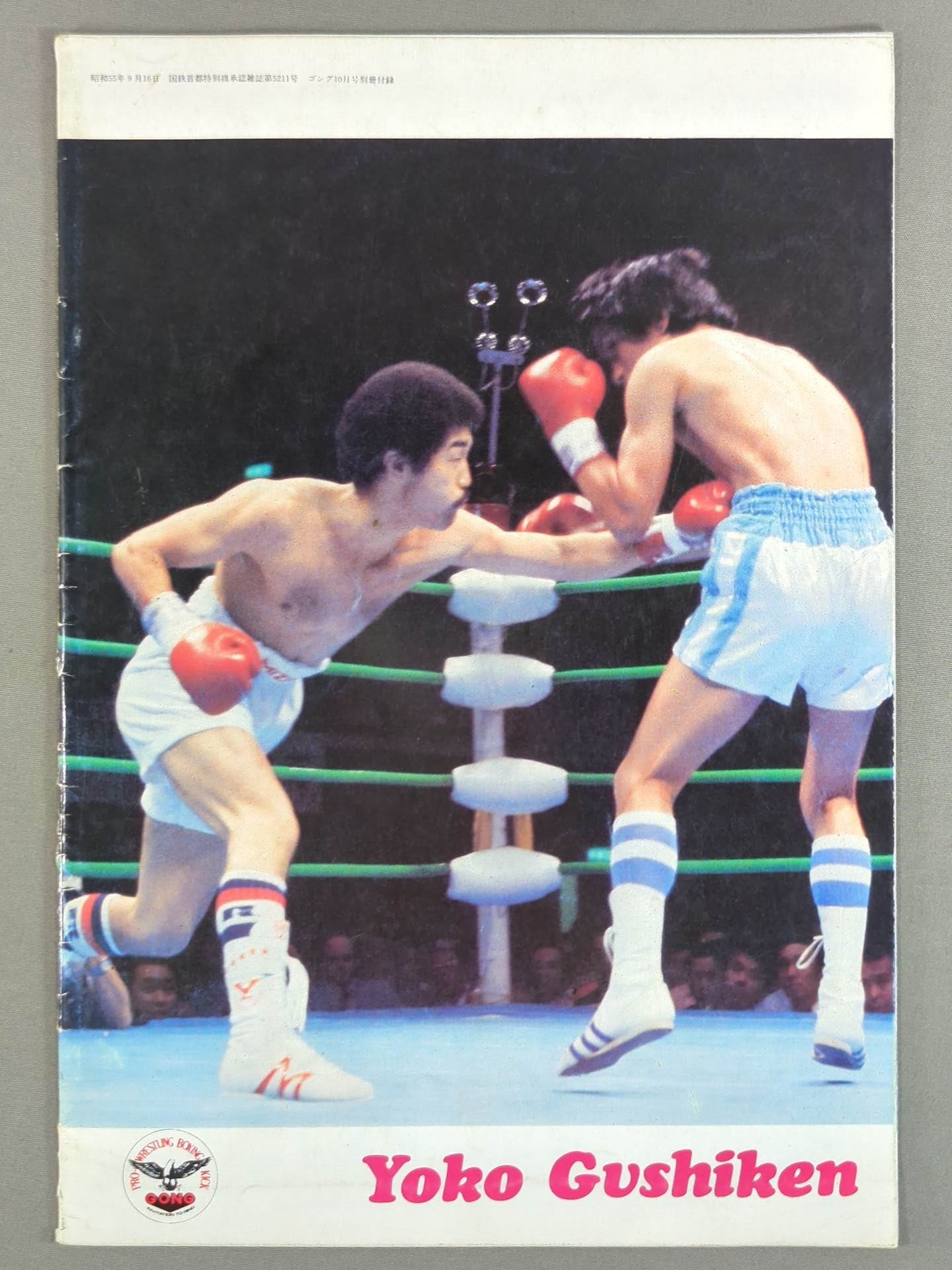 Immortal Glory Yoko Gushiken Retirement Color Album