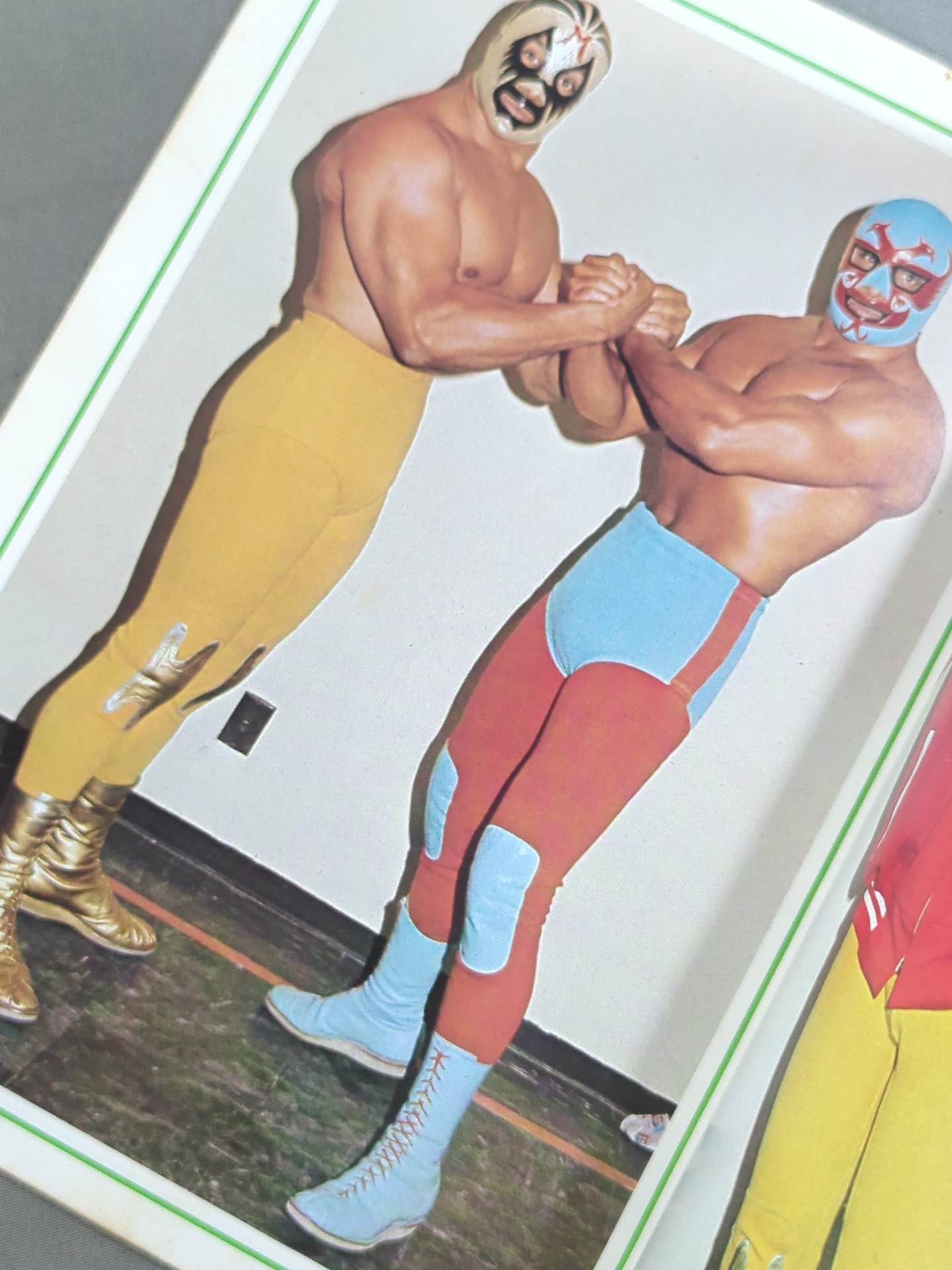 Mil Mascaras Color Album / MIL MASCARAS COLOR ALBUM (Appendix to the September issue of Gong)