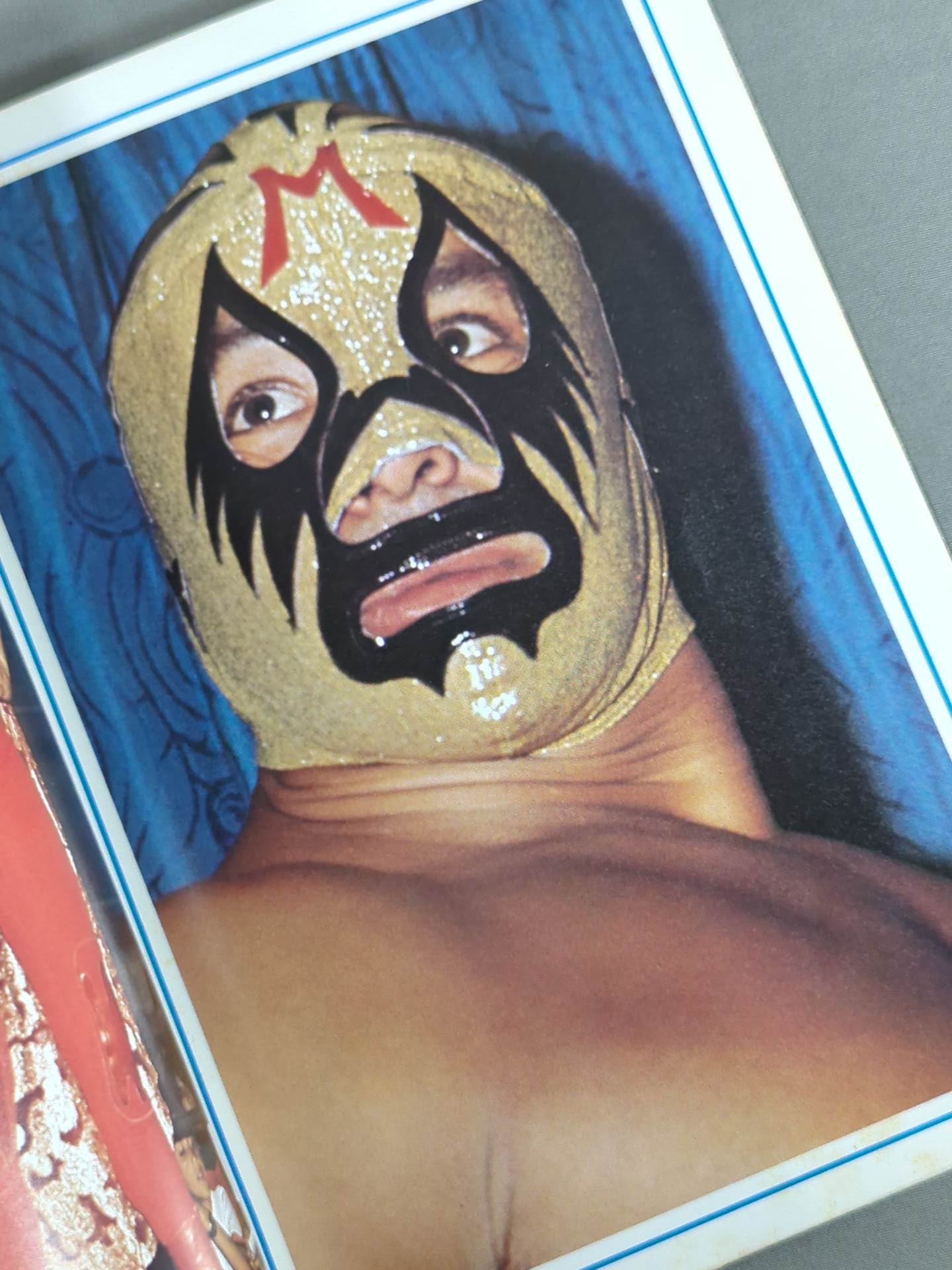 Mil Mascaras Color Album / MIL MASCARAS COLOR ALBUM (Appendix to the September issue of Gong)