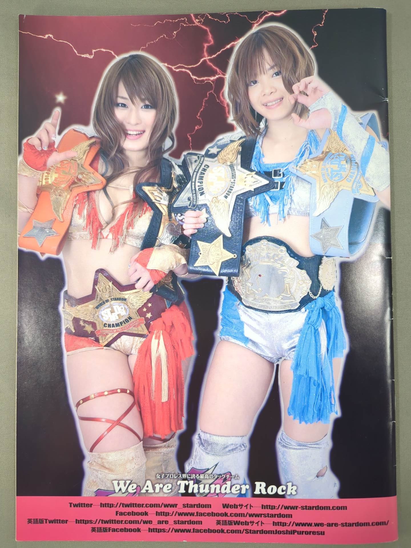 STARDOM OFFICIAL GUIDE BOOK Vol.75