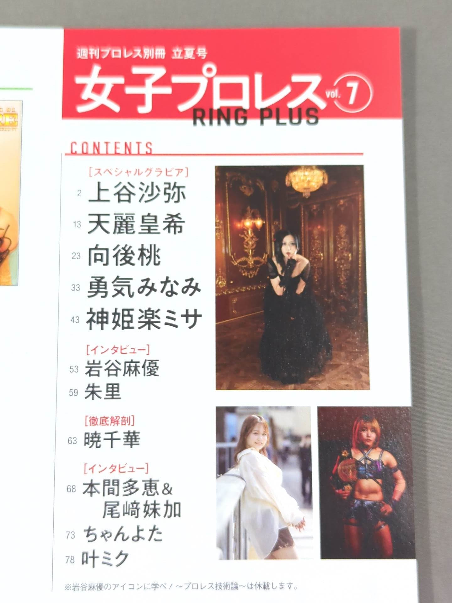 Weekly Pro Wrestling Appendix 156 "Women's Pro Wrestling RING PLUS" vol.7