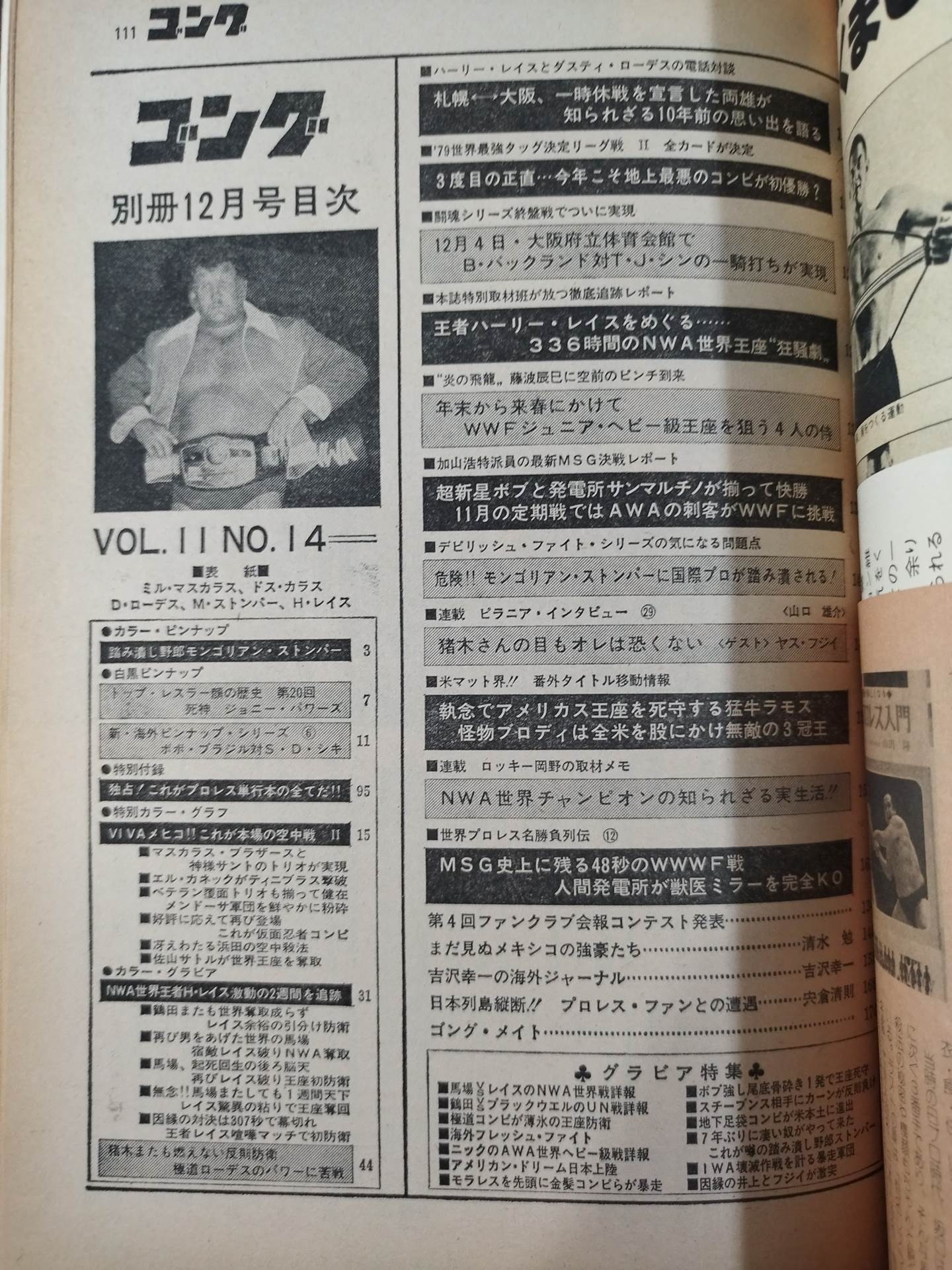 別冊ゴングVol.11 No.13