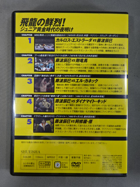 燃えろ!新日本プロレス vol.28