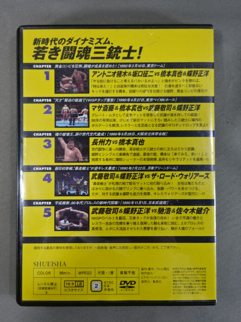 Burn! New Japan Pro Wrestling vol.19