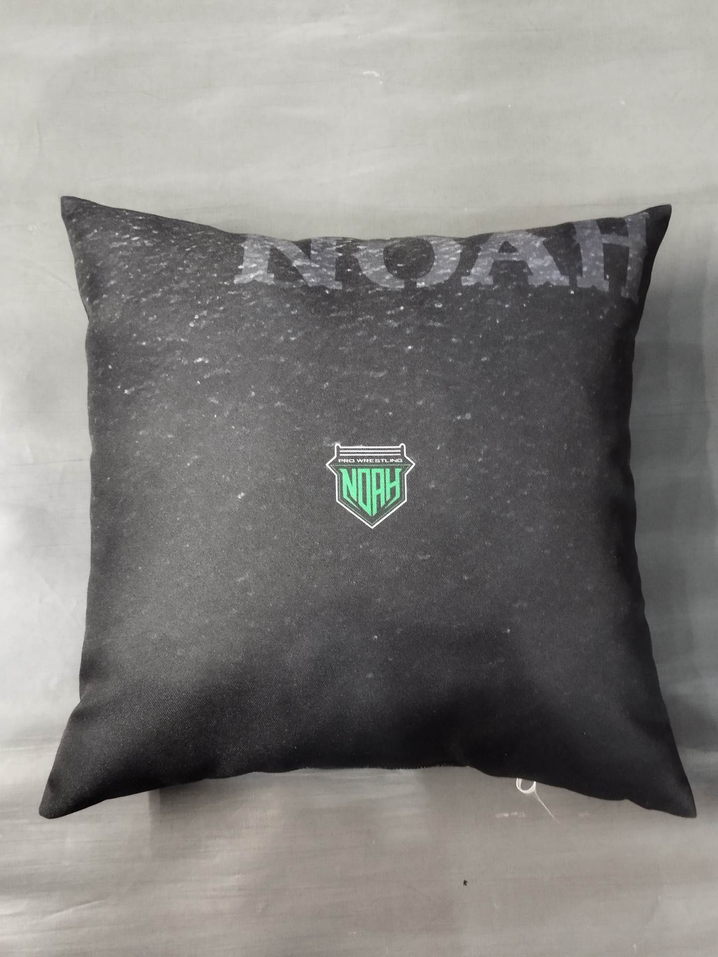 Aiki Inamura fighters print cushion