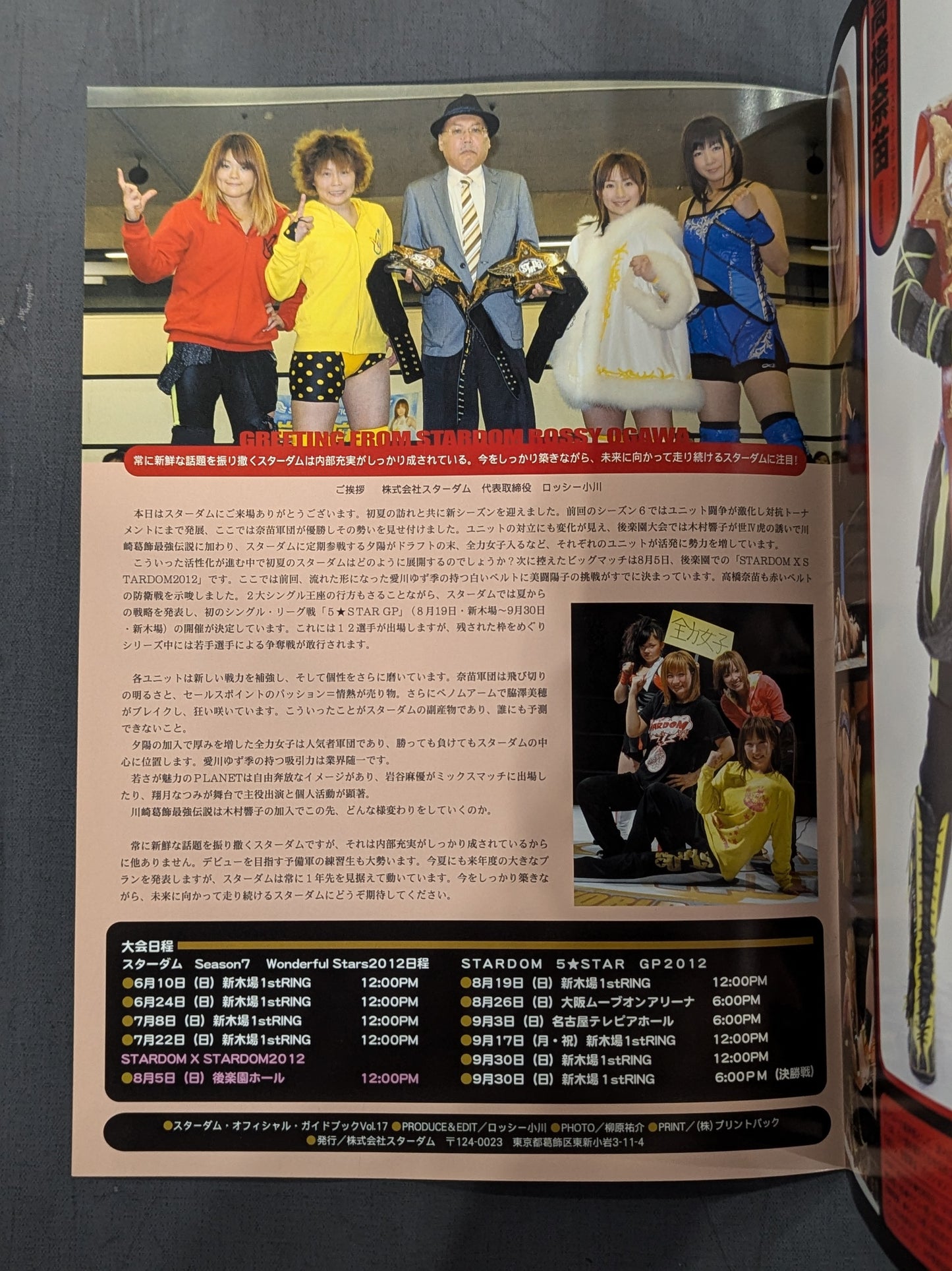 STARDOM OFFICIAL GUIDE BOOK Vol.17