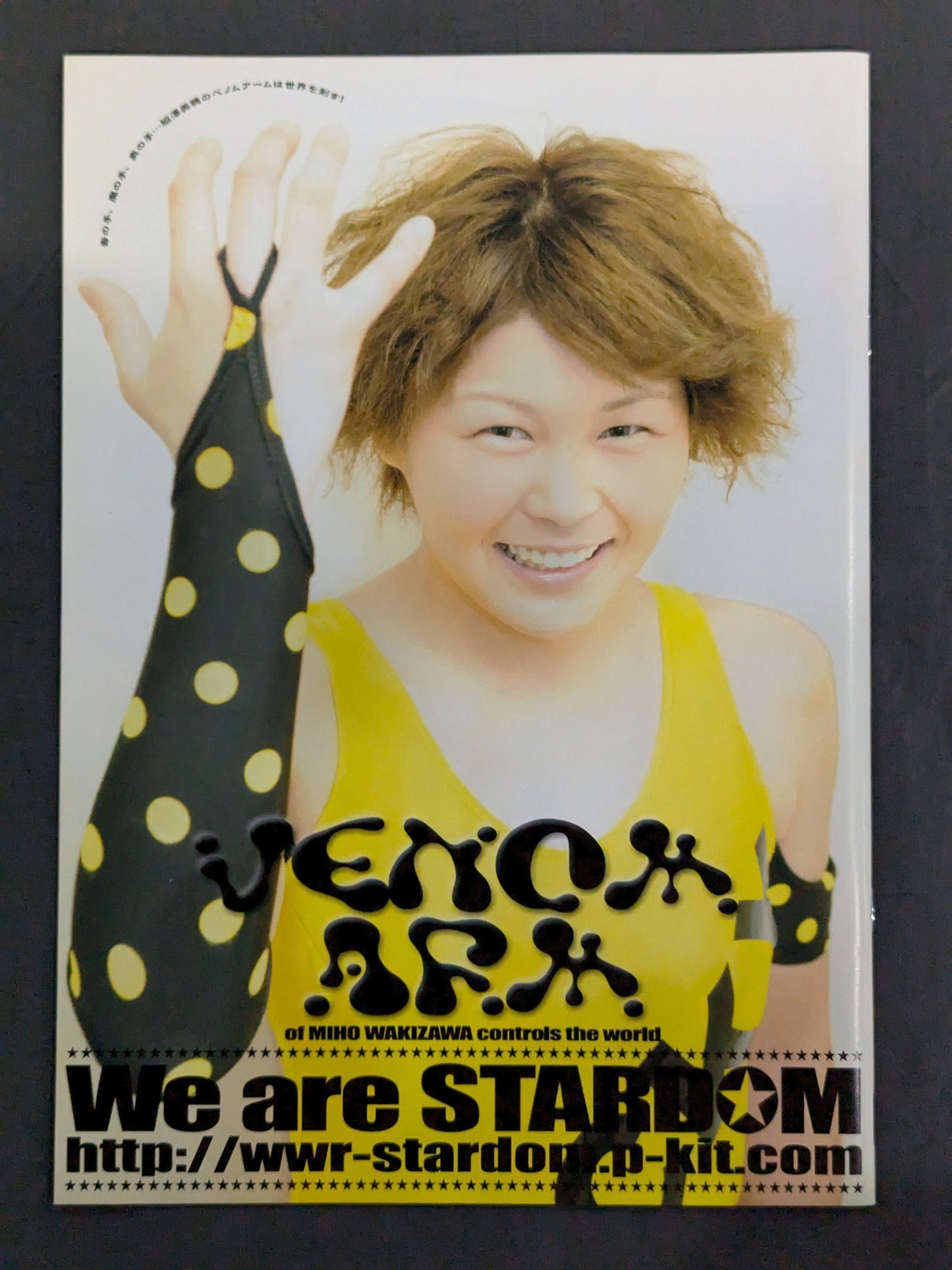 STARDOM OFFICIAL GUIDE BOOK Vol.17
