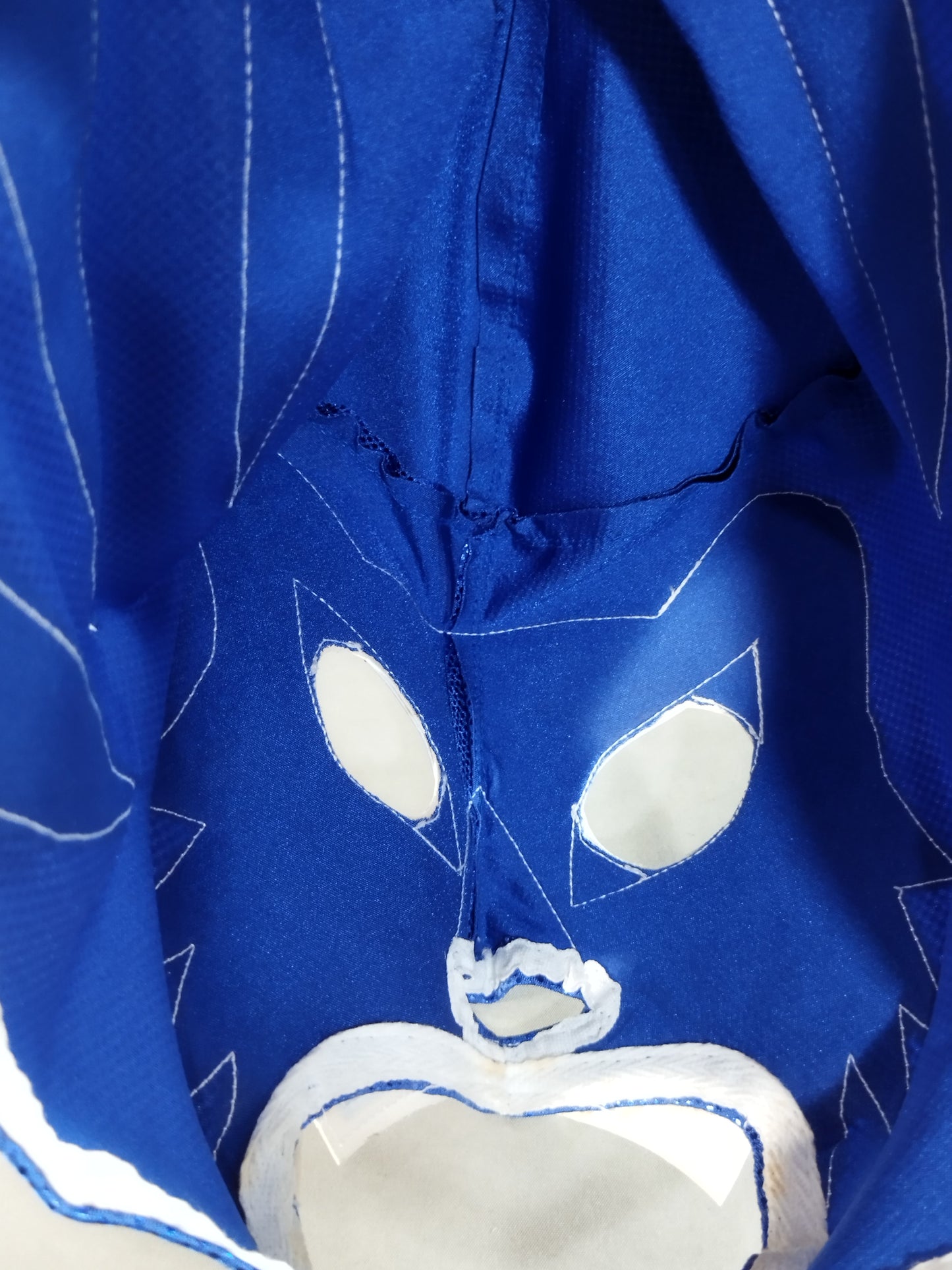 Blue Panther