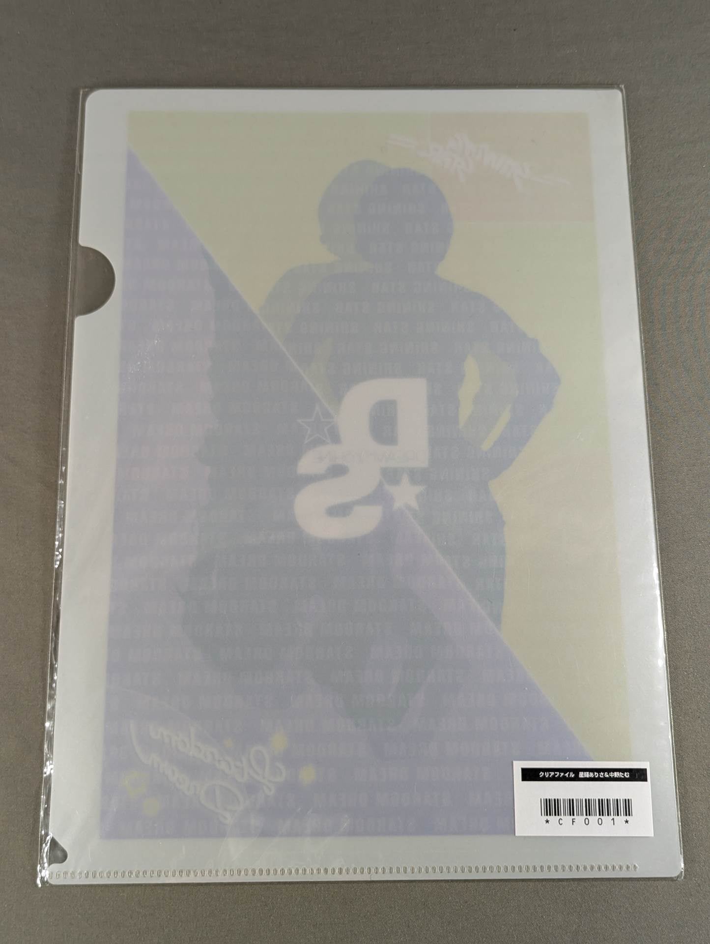 Arisa Hoshiki & Tam Nakano plastic file folder