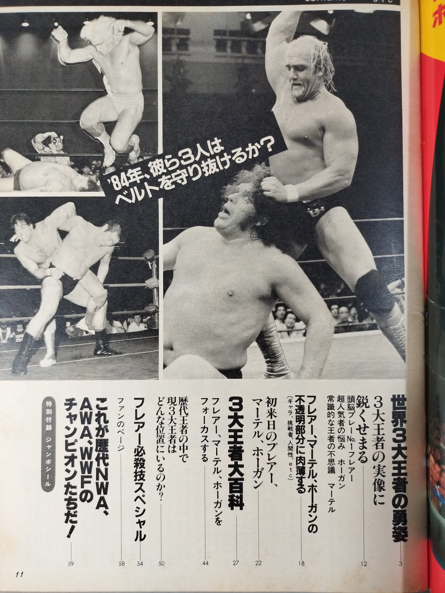 プロレスアルバム47 チャンピオンズ