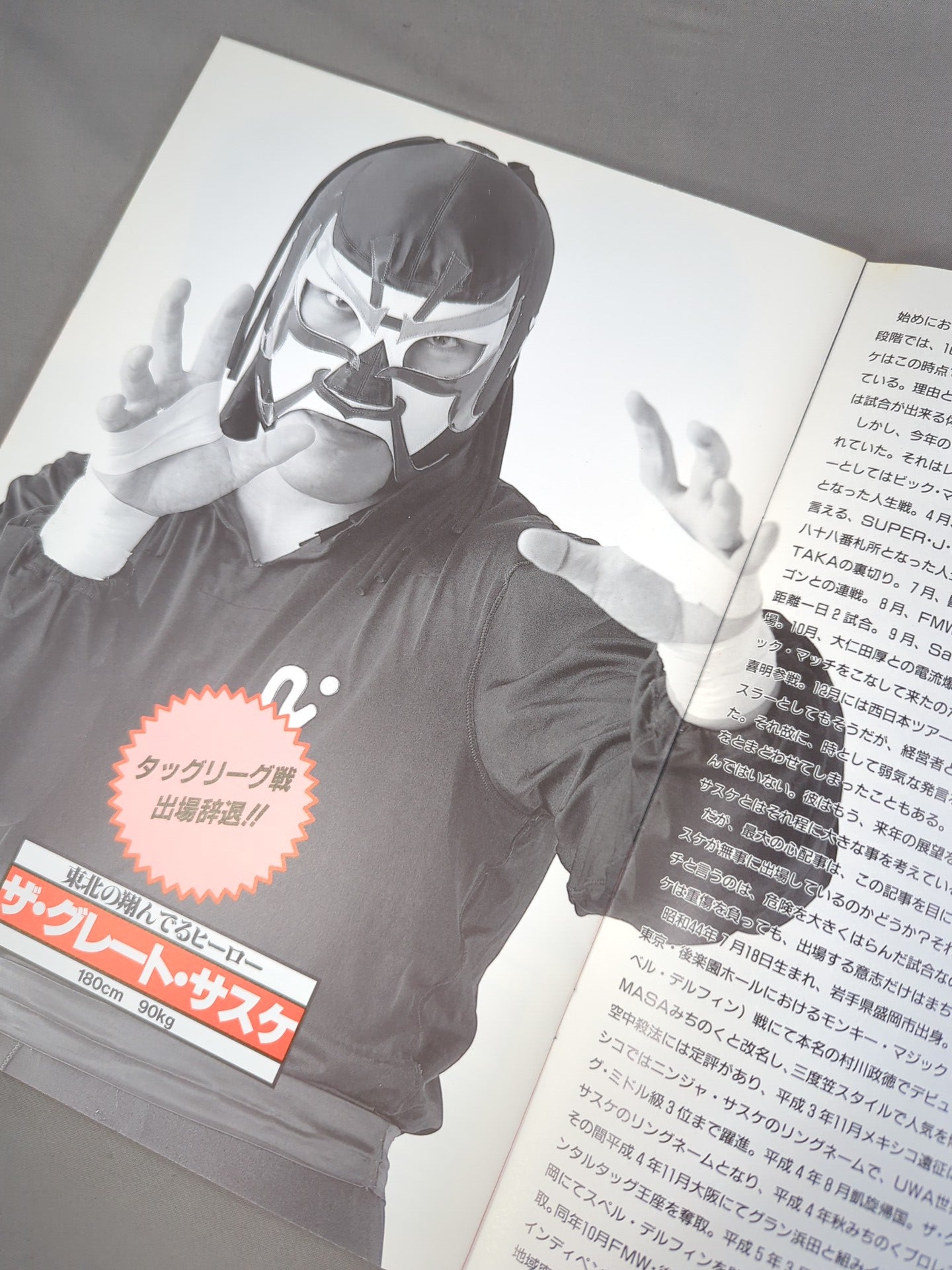 みちのくふたり旅 ’94~タッグリーグ戦~ 第7号