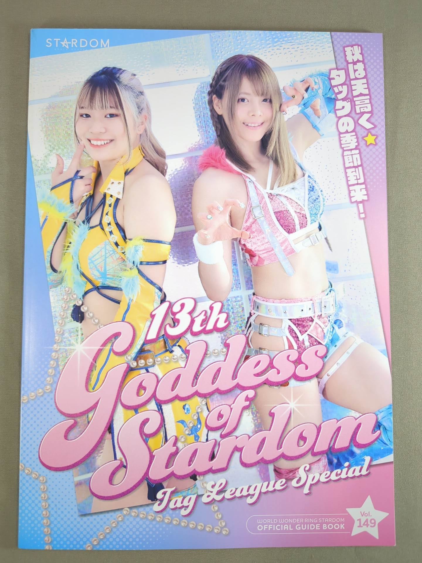 STARDOM OFFICIAL GUIDE BOOK Vol.149