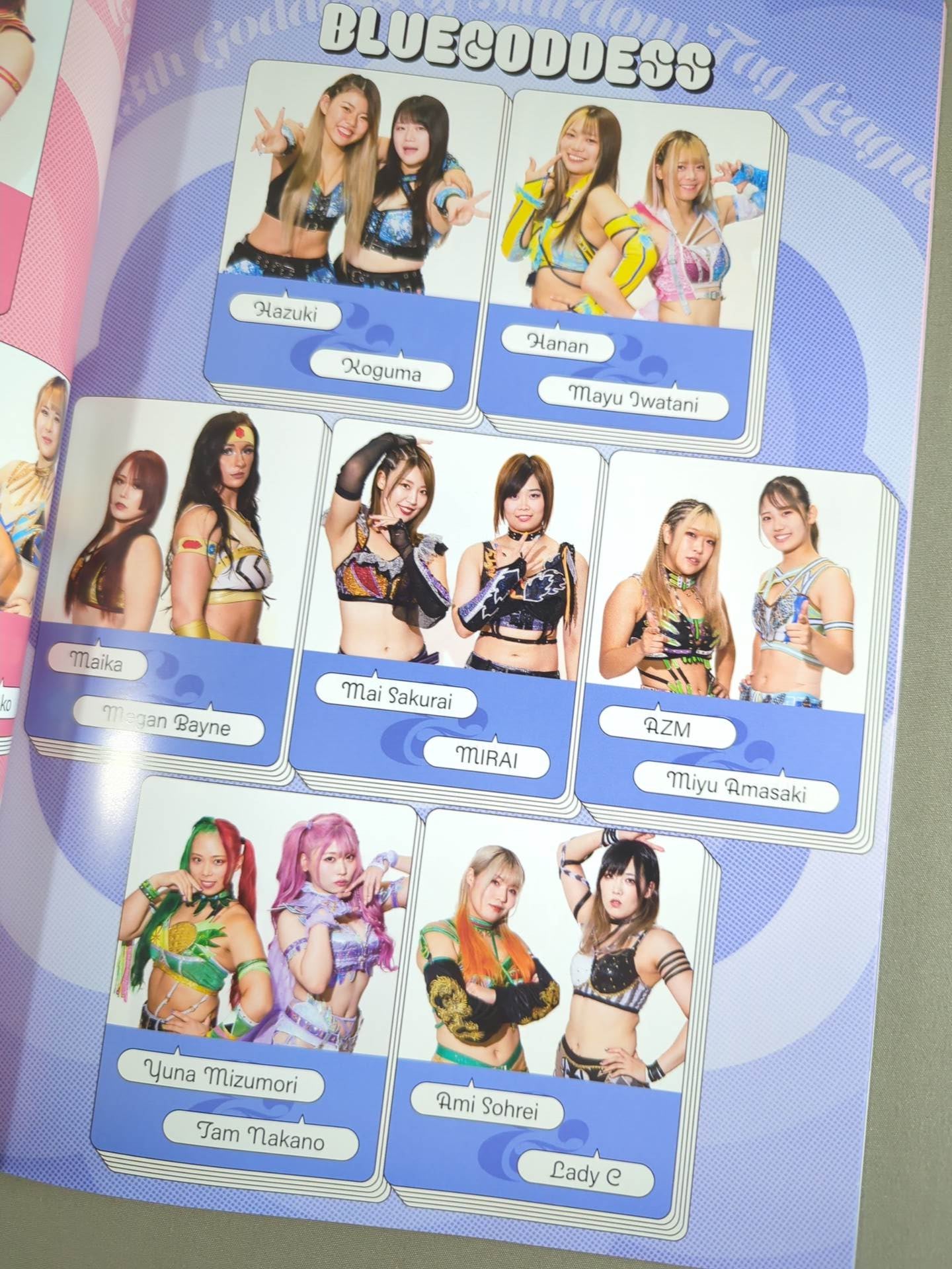STARDOM OFFICIAL GUIDE BOOK Vol.149