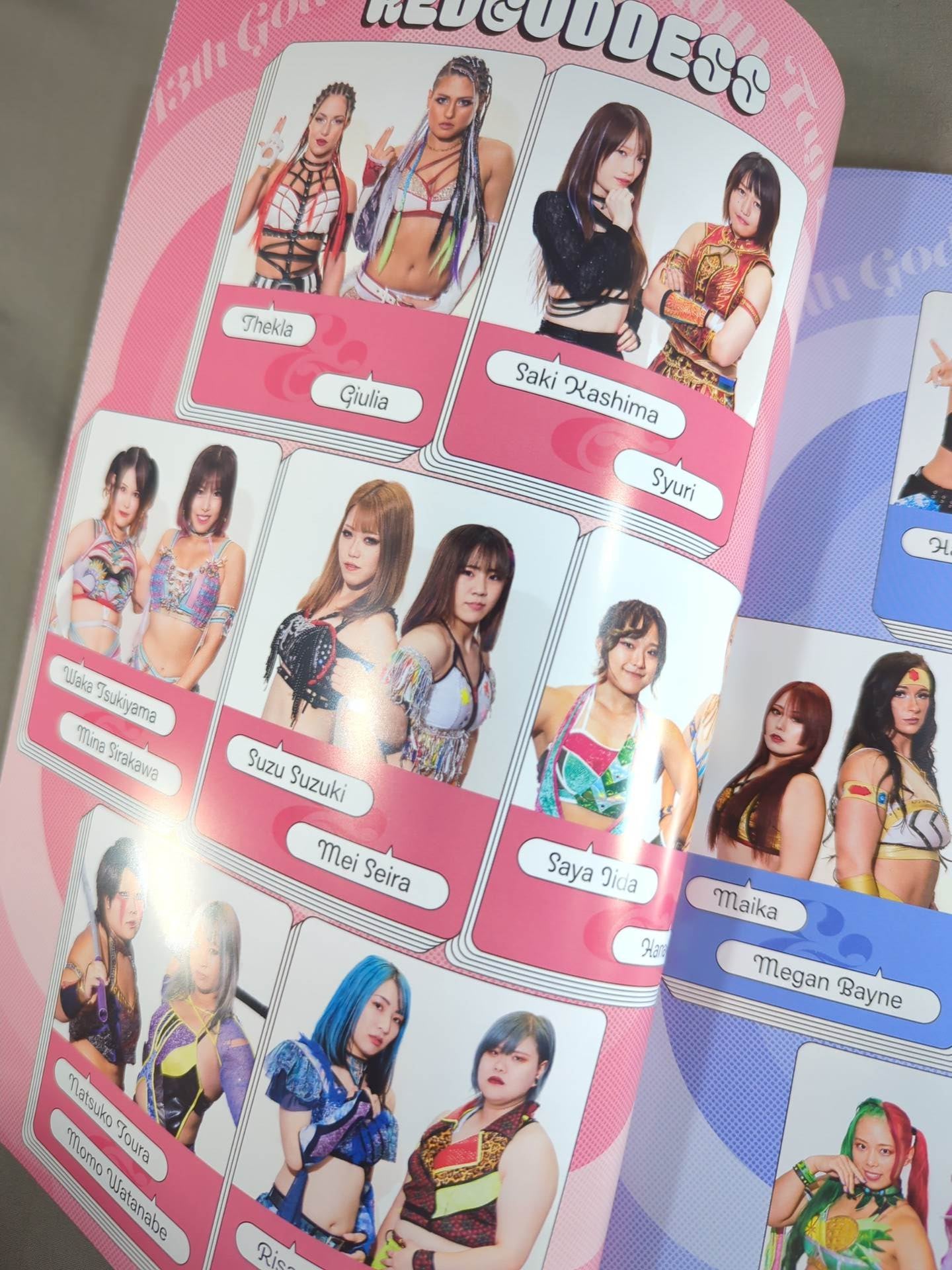 STARDOM OFFICIAL GUIDE BOOK Vol.149