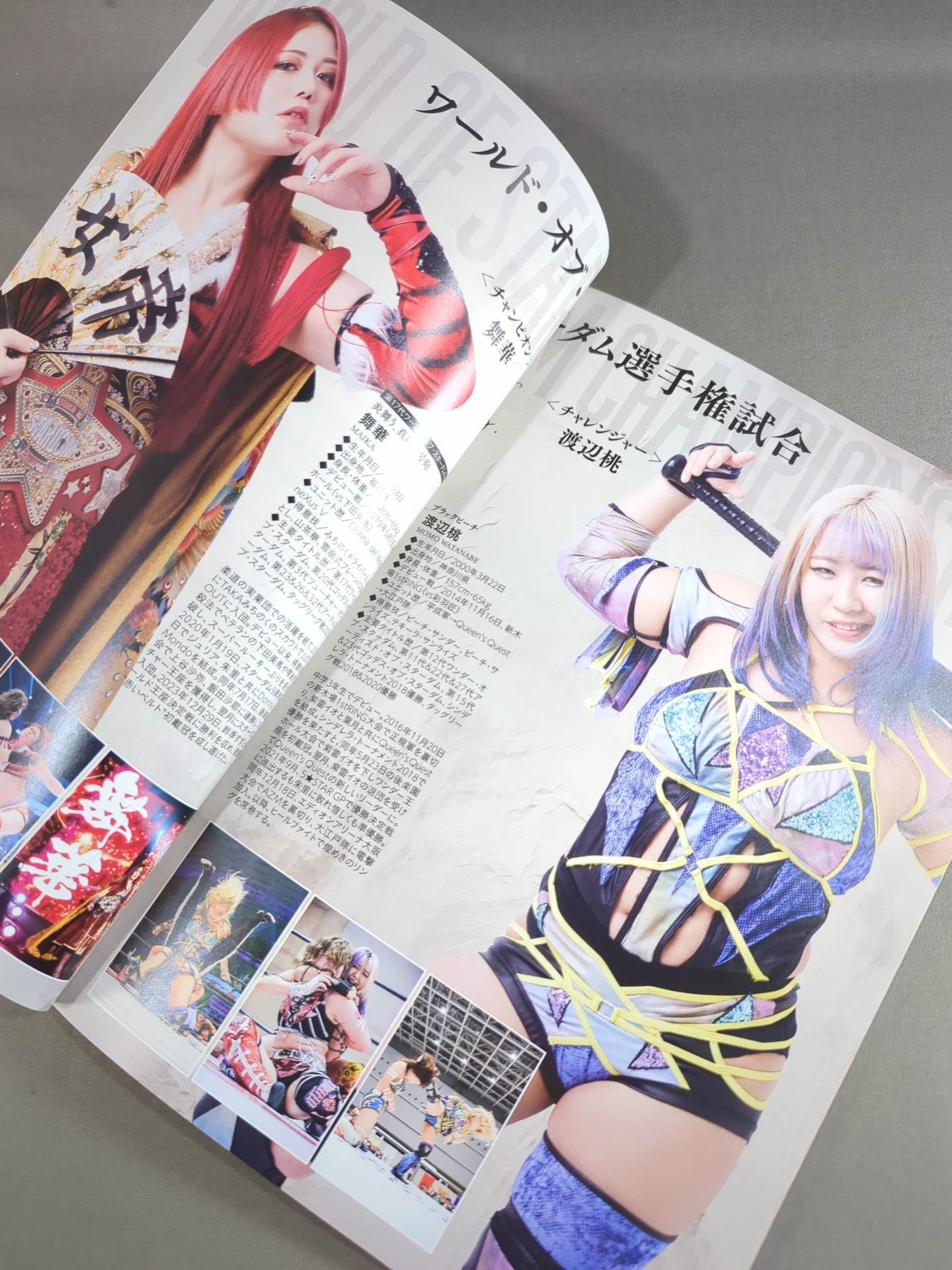 STARDOM OFFICIAL GUIDE BOOK Vol.151