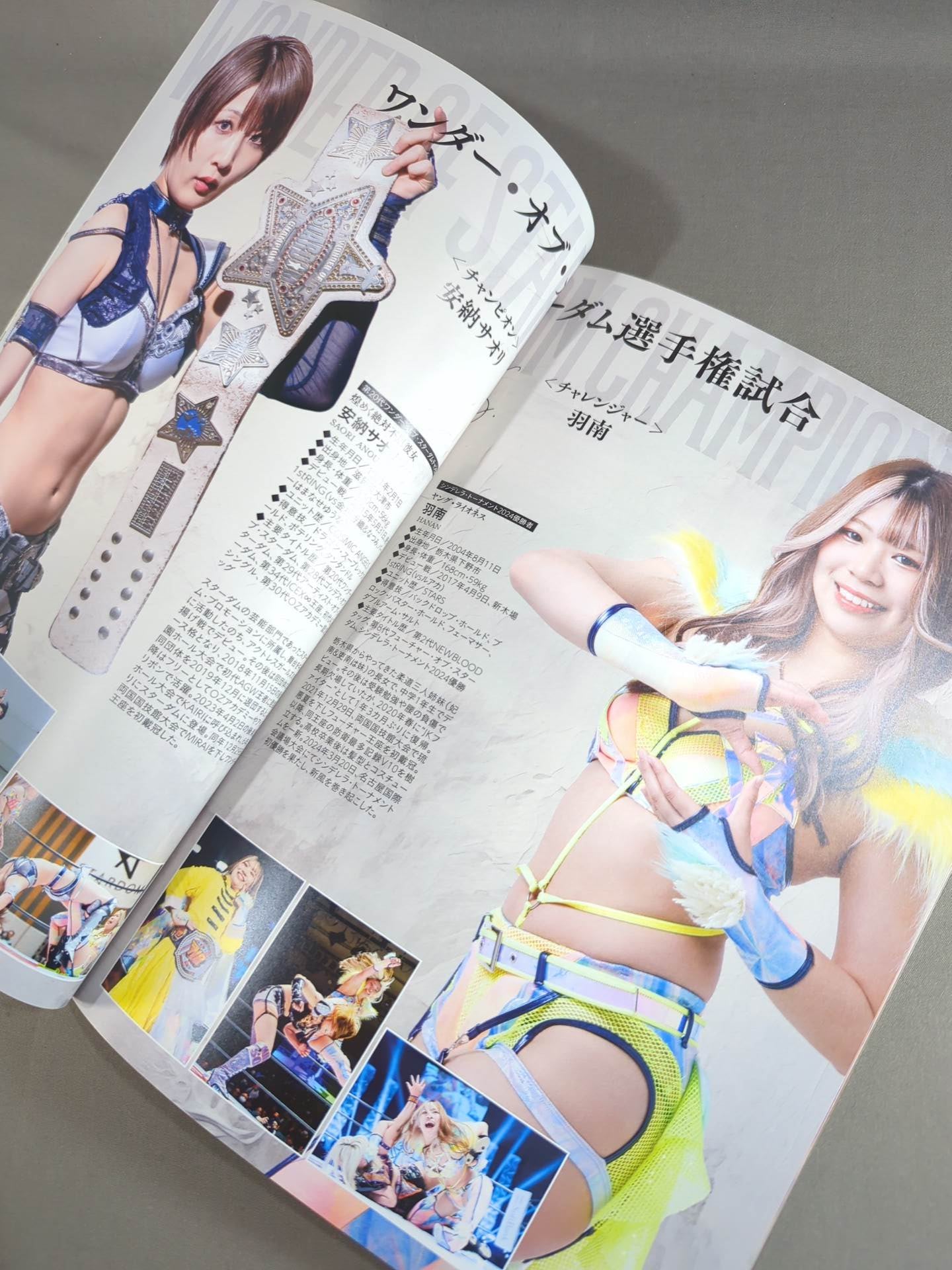 STARDOM OFFICIAL GUIDE BOOK Vol.151