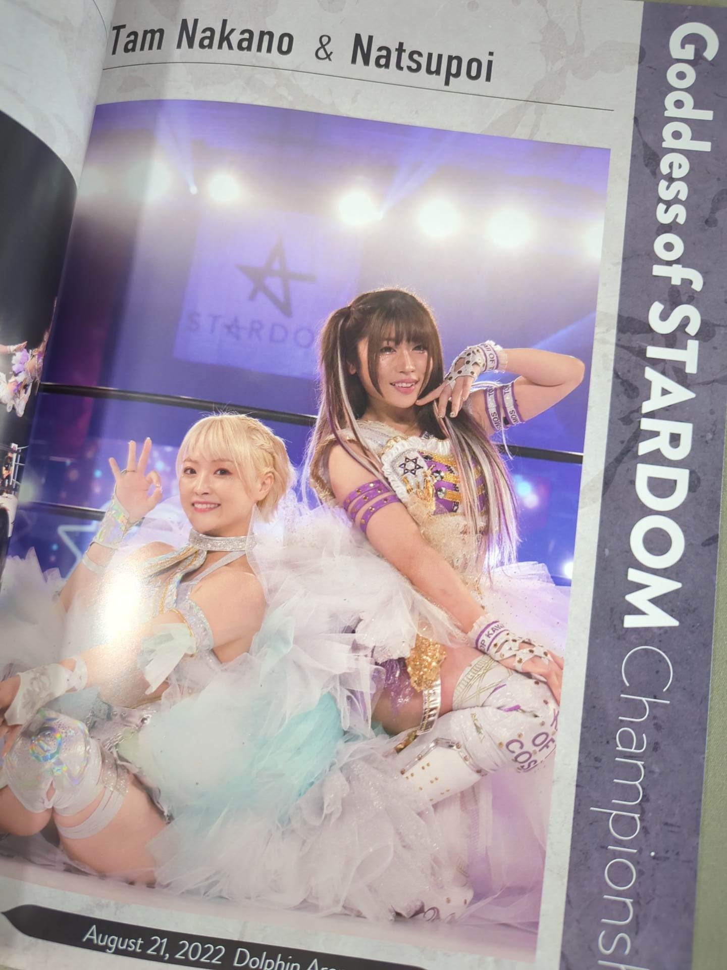 STARDOM OFFICIAL GUIDE BOOK 5★STAR GP2022 Special Edit