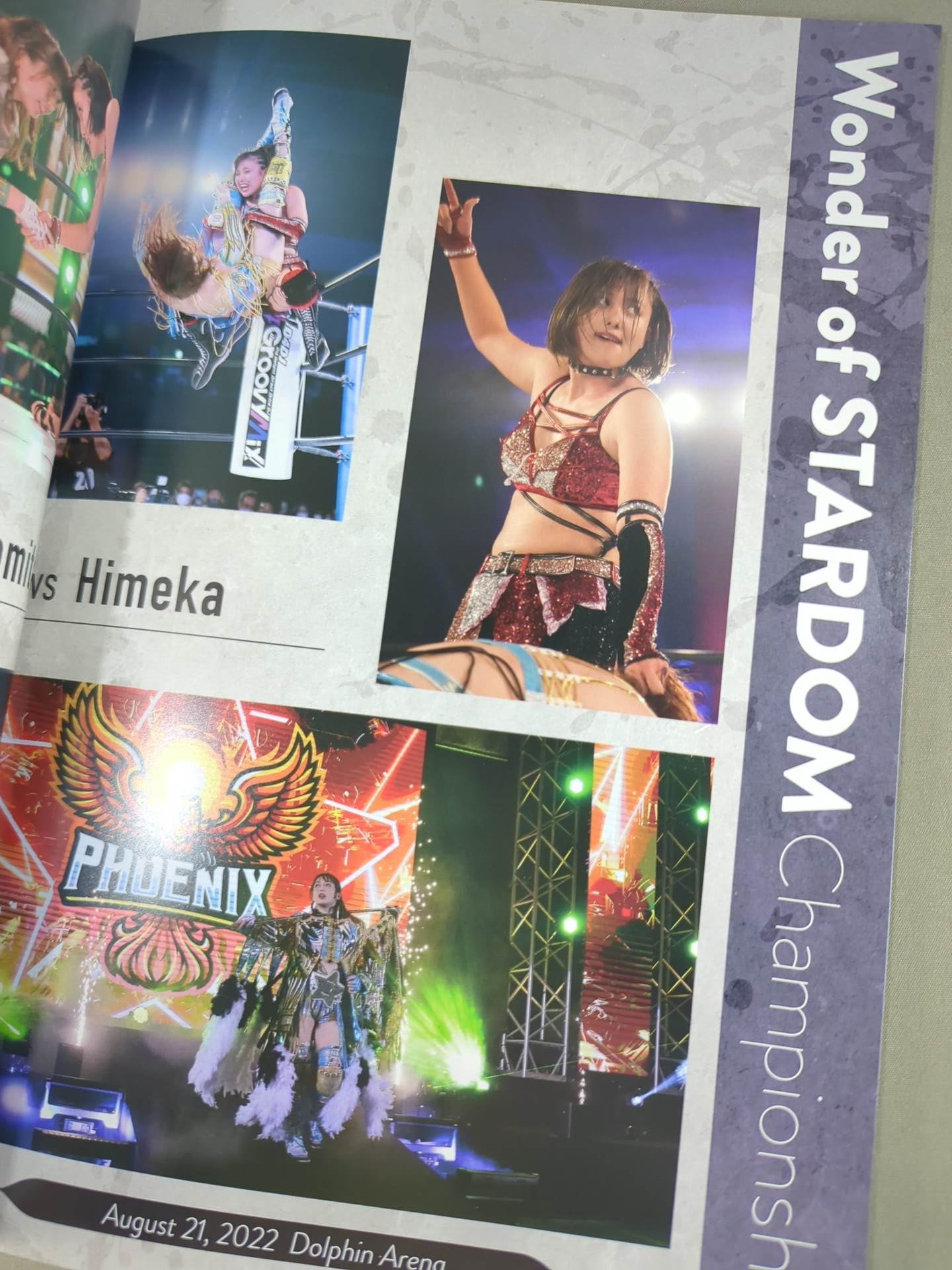 STARDOM OFFICIAL GUIDE BOOK 5★STAR GP2022 Special Edit