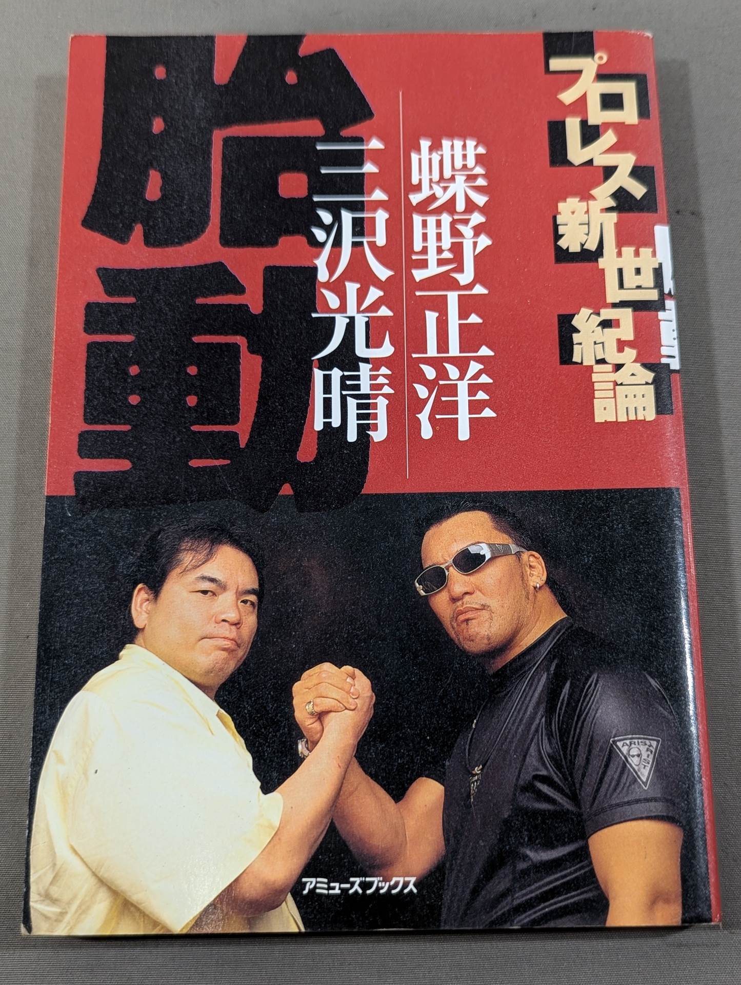 プロレス新世紀論 胎動 三沢光晴×蝶野正洋