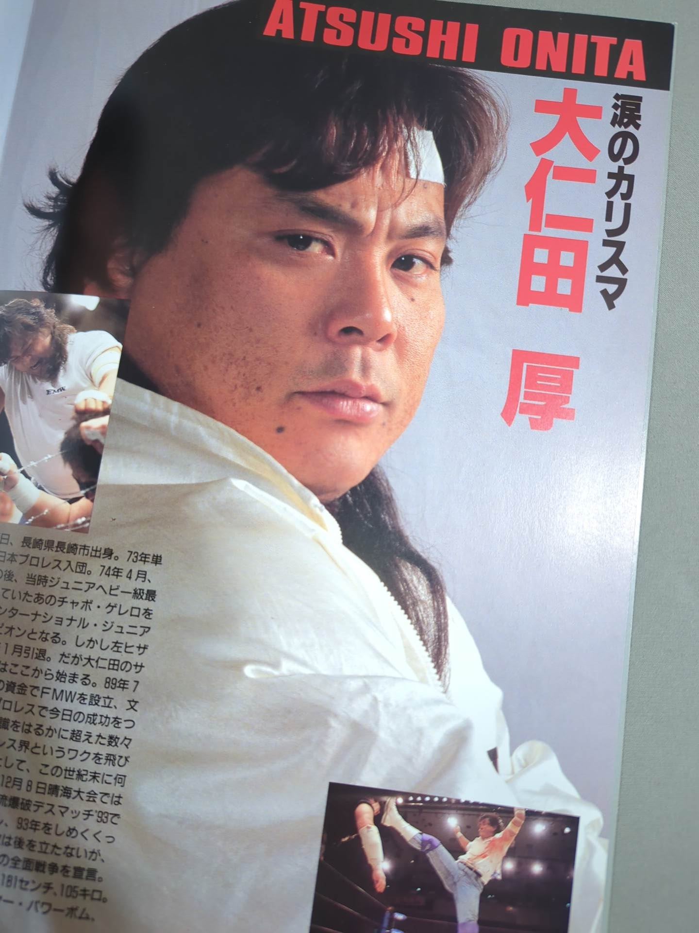 F.M.W. OFFICIAL GUIDE BOOK 1994 Vol.5