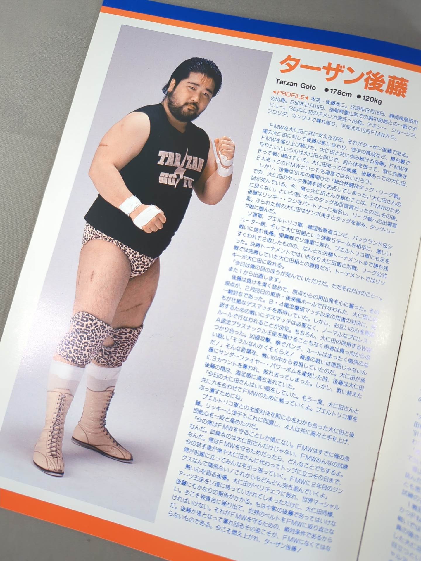 FMW HEADLINE OFFICIAL PROGRAM No.10
