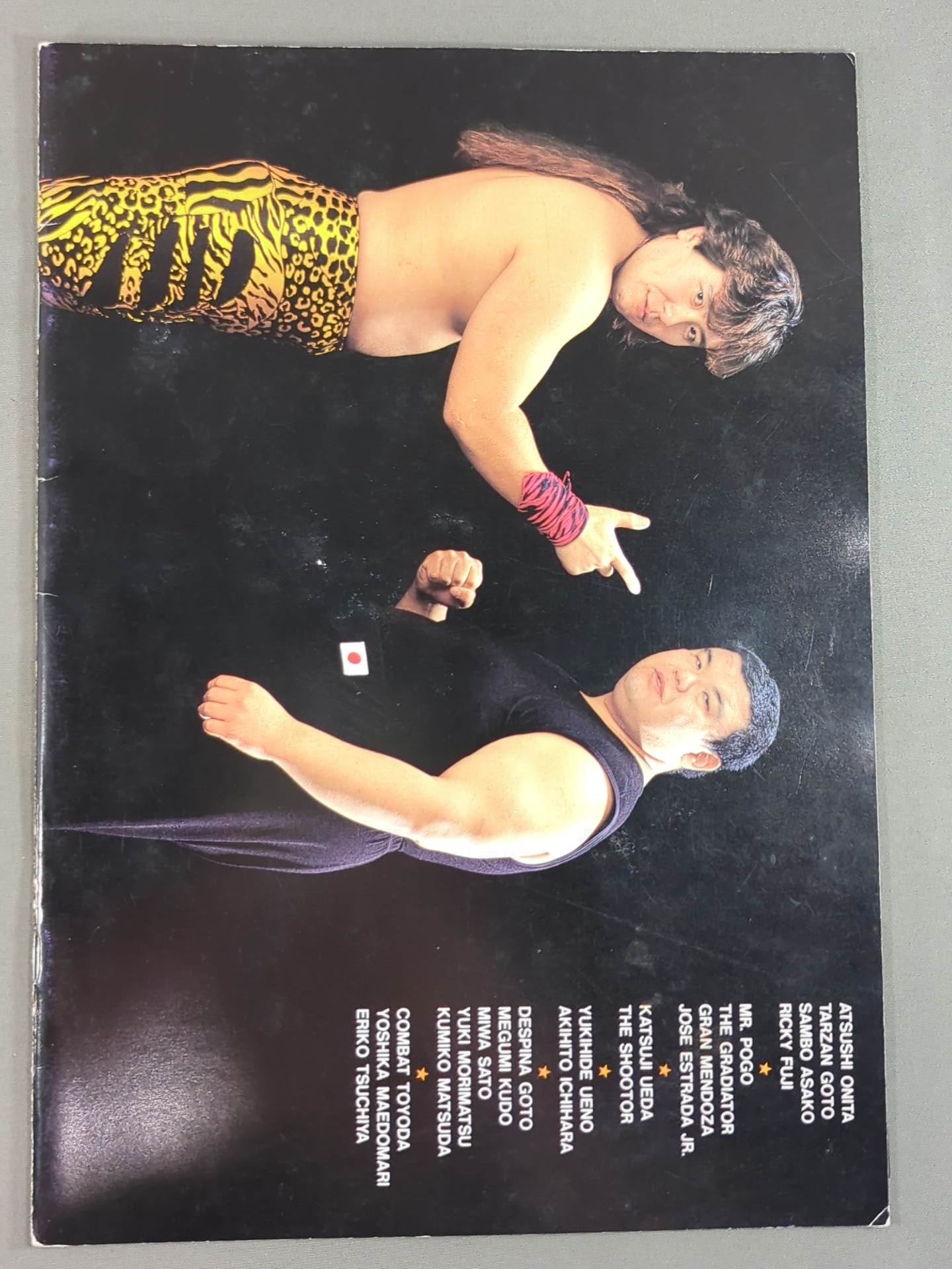 FMW HEADLINE OFFICIAL PROGRAM No.10