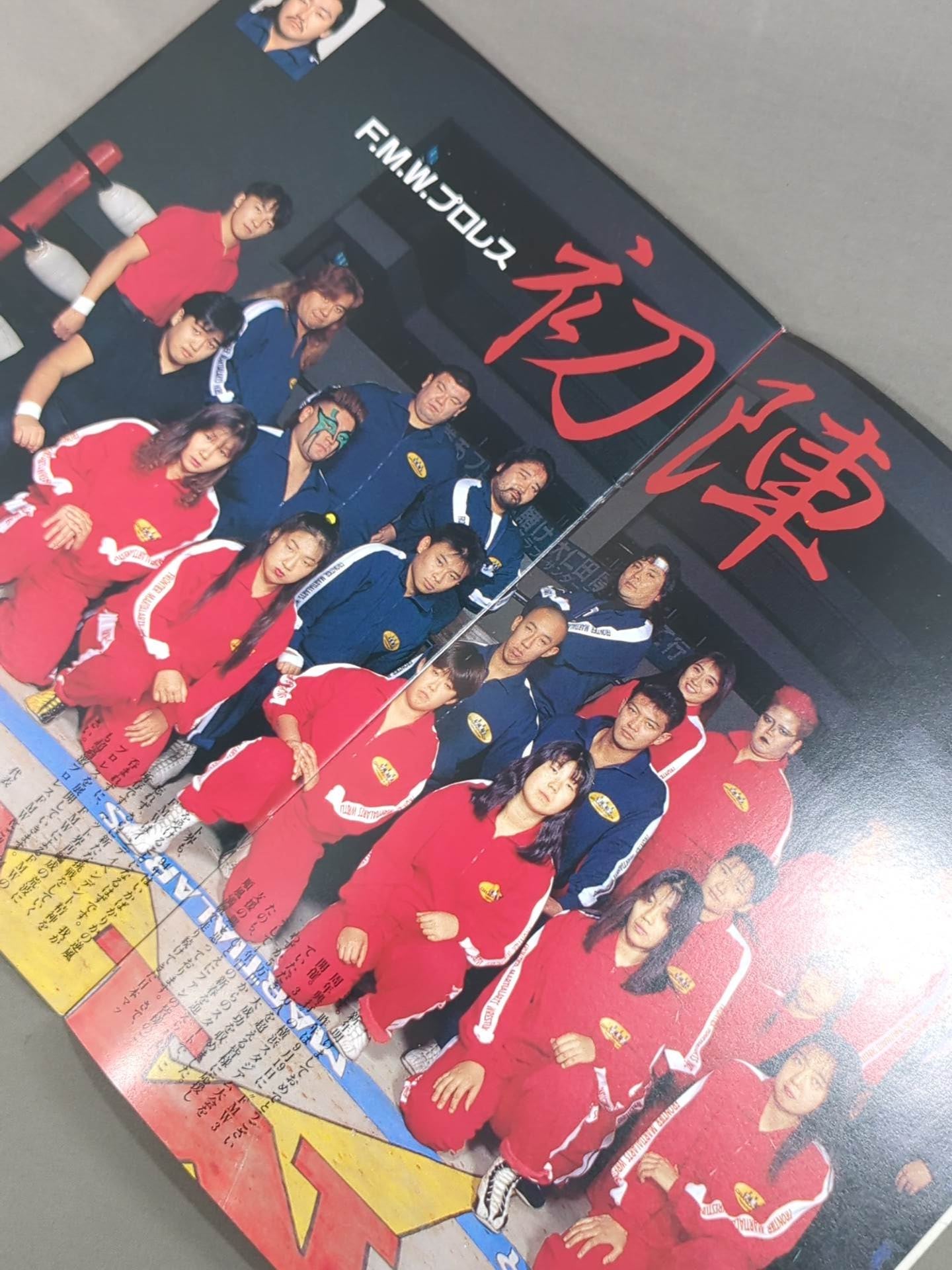 F.M.W. OFFICIAL GUIDE BOOK 1993 Vol.3