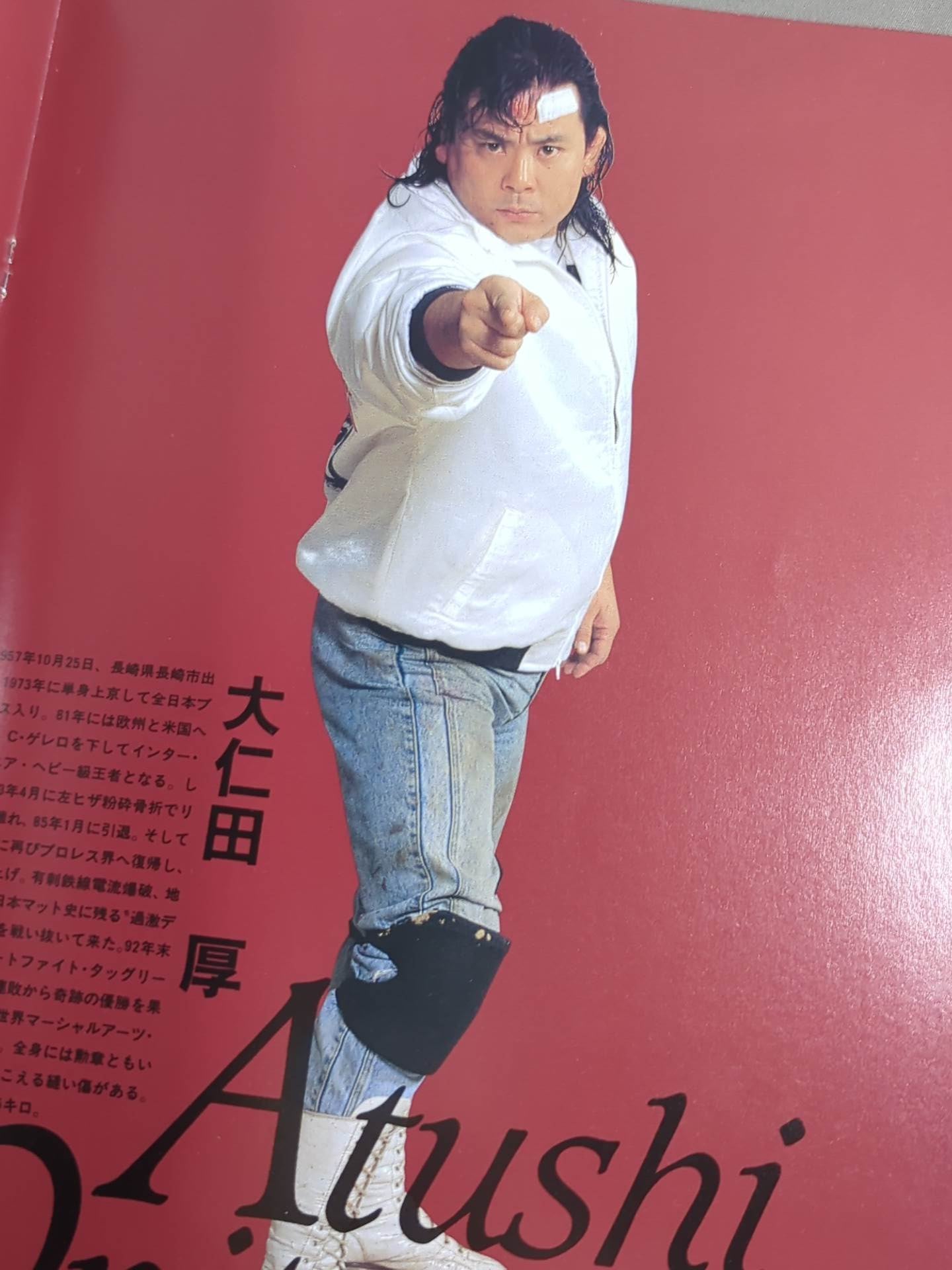 F.M.W. OFFICIAL GUIDE BOOK 1993 Vol.3
