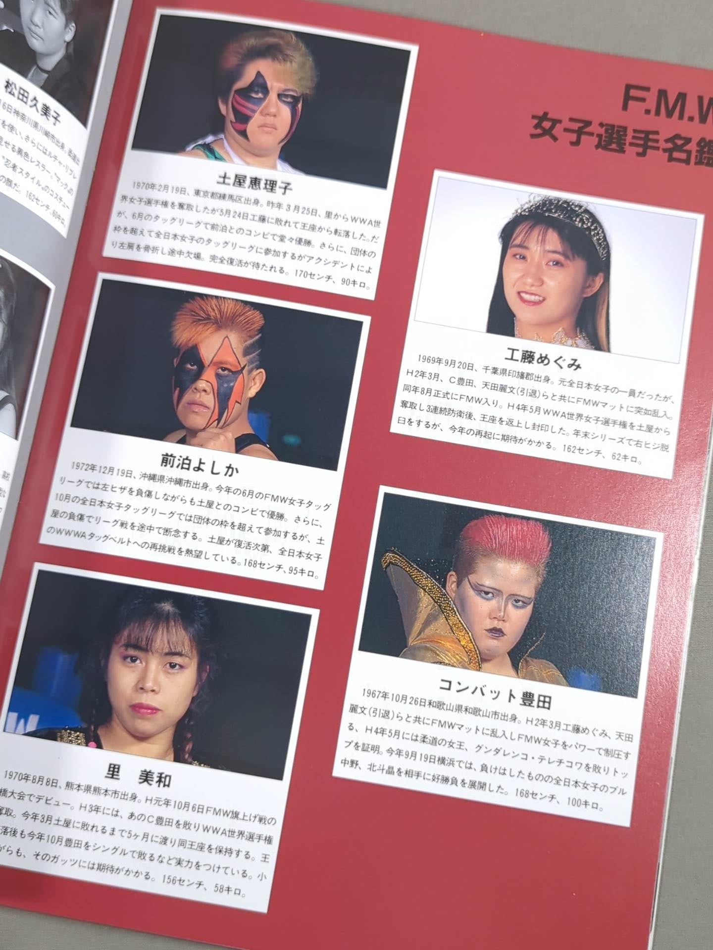 F.M.W. OFFICIAL GUIDE BOOK 1993 Vol.3