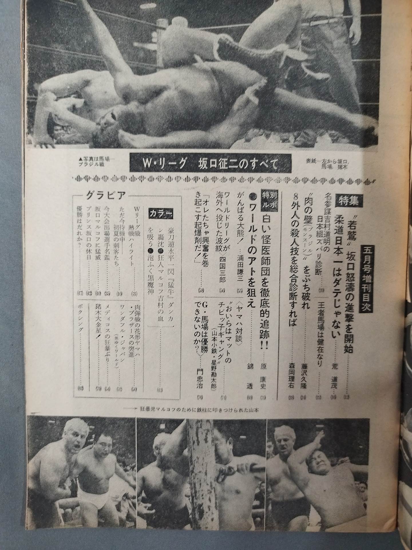 Pro Wrestling & Boxing May 1969 Special Issue