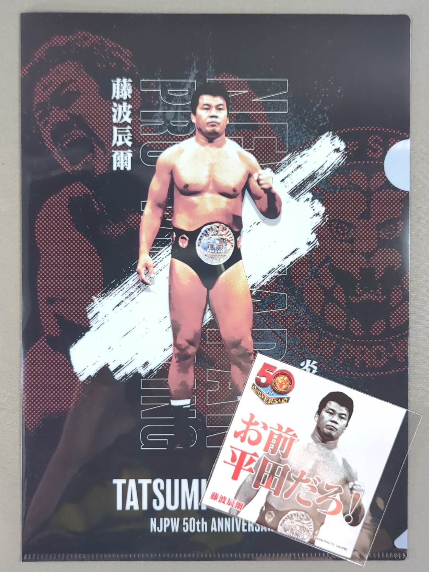 藤波辰爾 新日本プロレス50周年 クリアファイル＆ステッカー