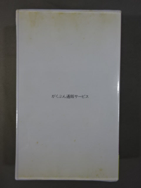 The first Tiger Mask Satoru Sayama no Shuto & Bali Tudo correspondence course