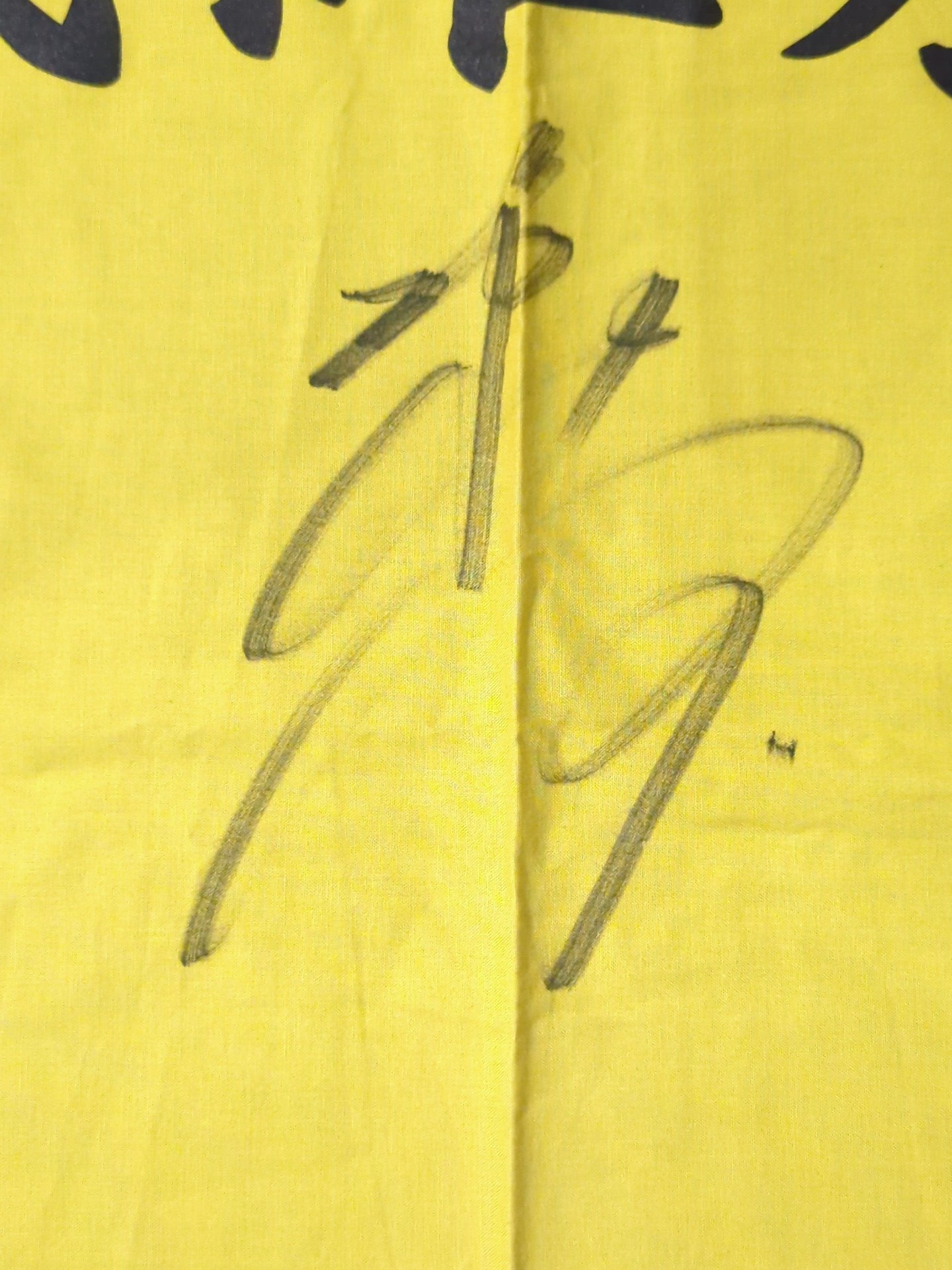 【越中詩郎 直筆サイン入り】平成維震軍 軍旗