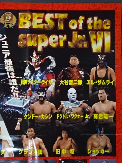 BEST OF THE SUPER Jr. Ⅵ