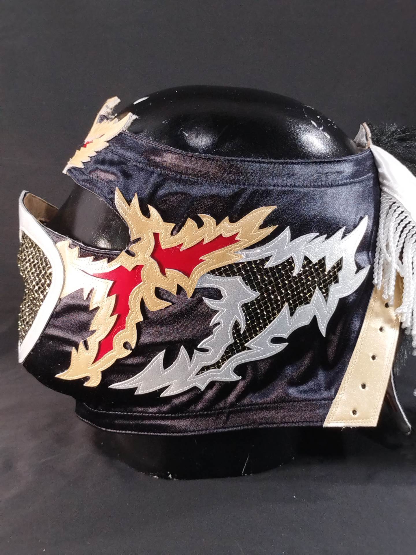 HAYABUSA