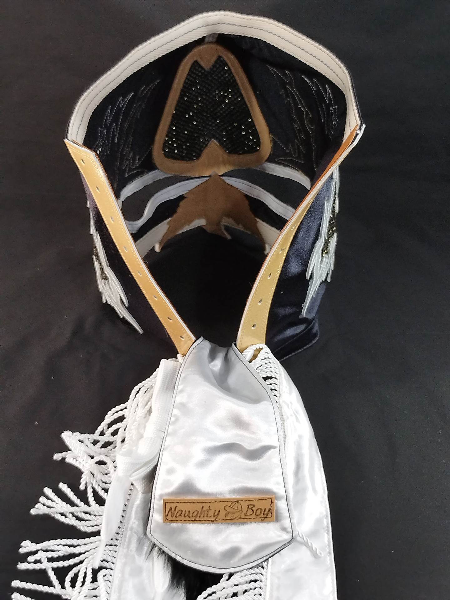 HAYABUSA