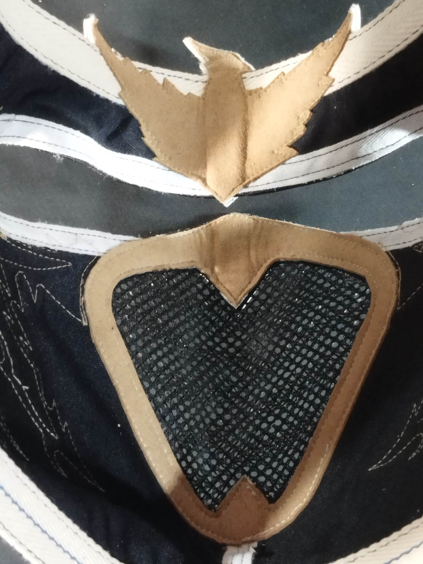 HAYABUSA
