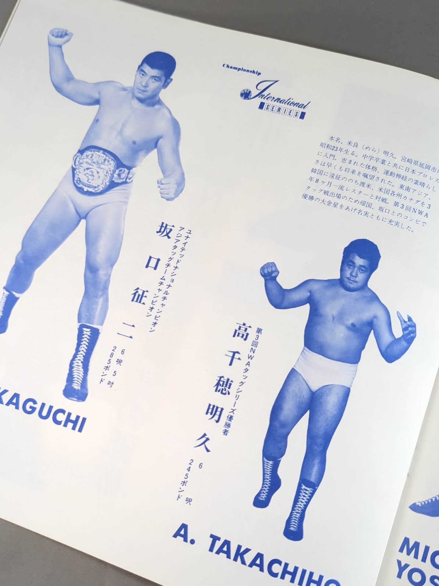 72 International Fighters Series